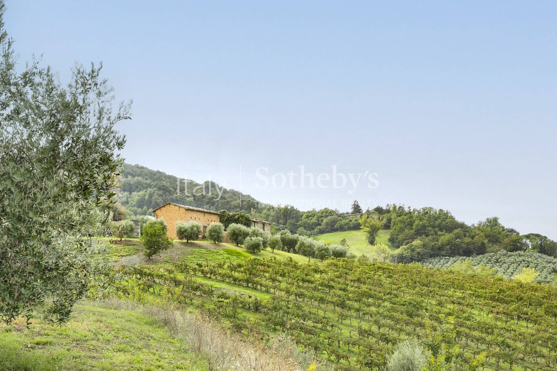  Enchanting agricultural and wine estate on the hills of Romagna - 物件實景