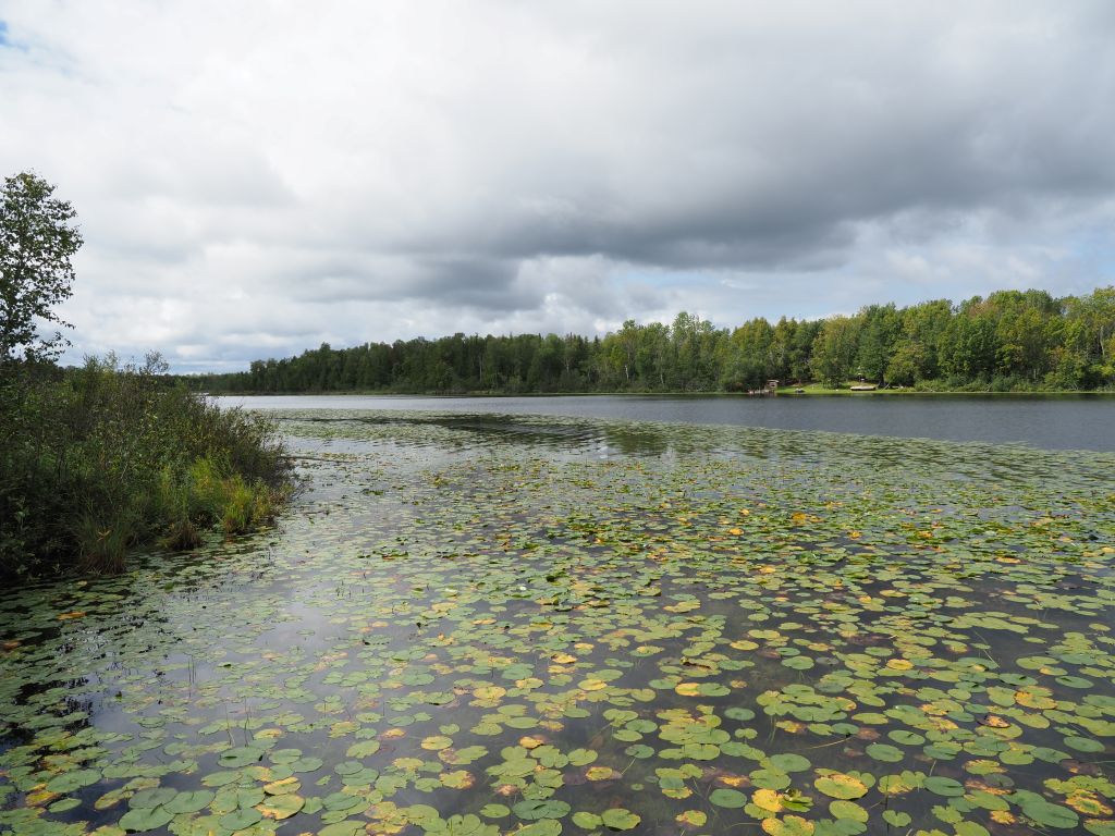 Marcell, Minnesota, 56657, United States, 2 Bedrooms Bedrooms, ,Residential,For Sale,1976347