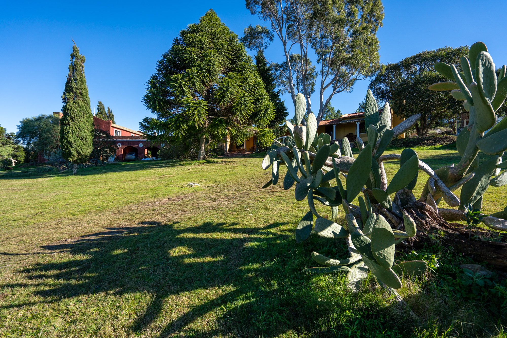  A 36-hectare estate in Laguna del Sauce. - 物件實景