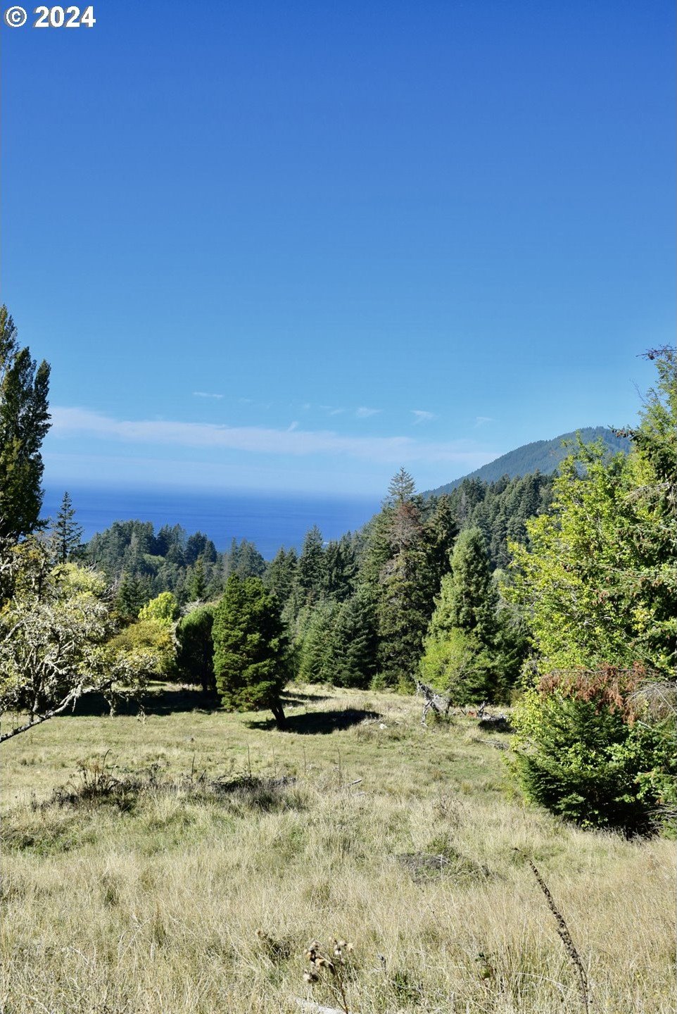 Port Orford, Oregon, 97465, United States, ,Land,For Sale,1977705