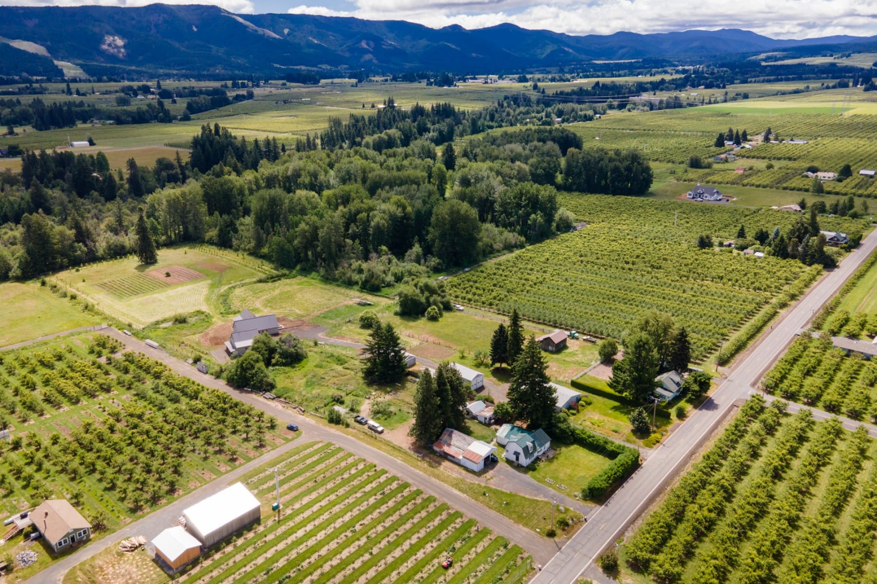  6455 TROUT CREEK RIDGE RD Mt Hood Prkdl, OR 97041 - 物件實景