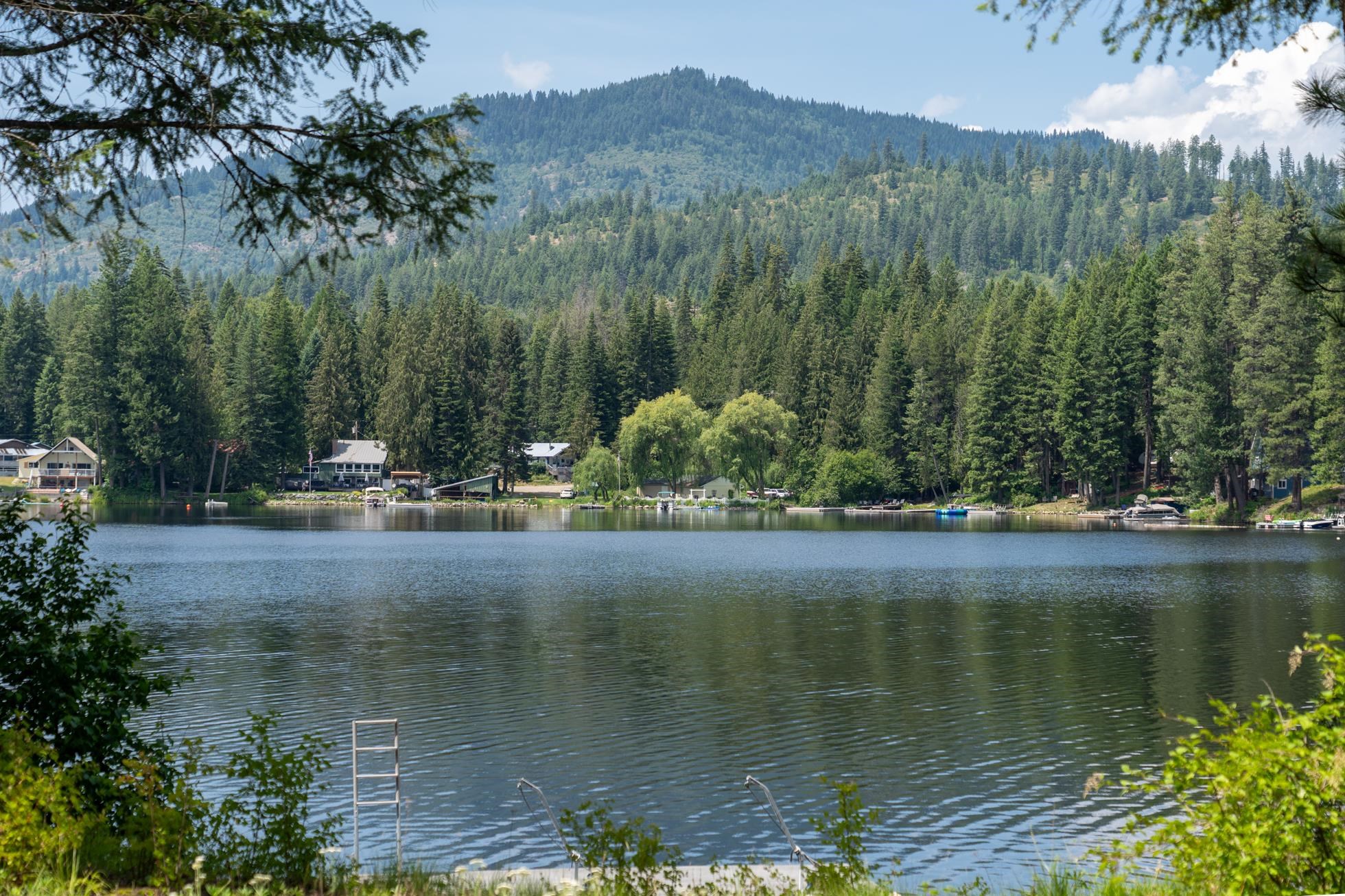 Newport, Washington, 99156, United States, ,Residential,For Sale,1869403