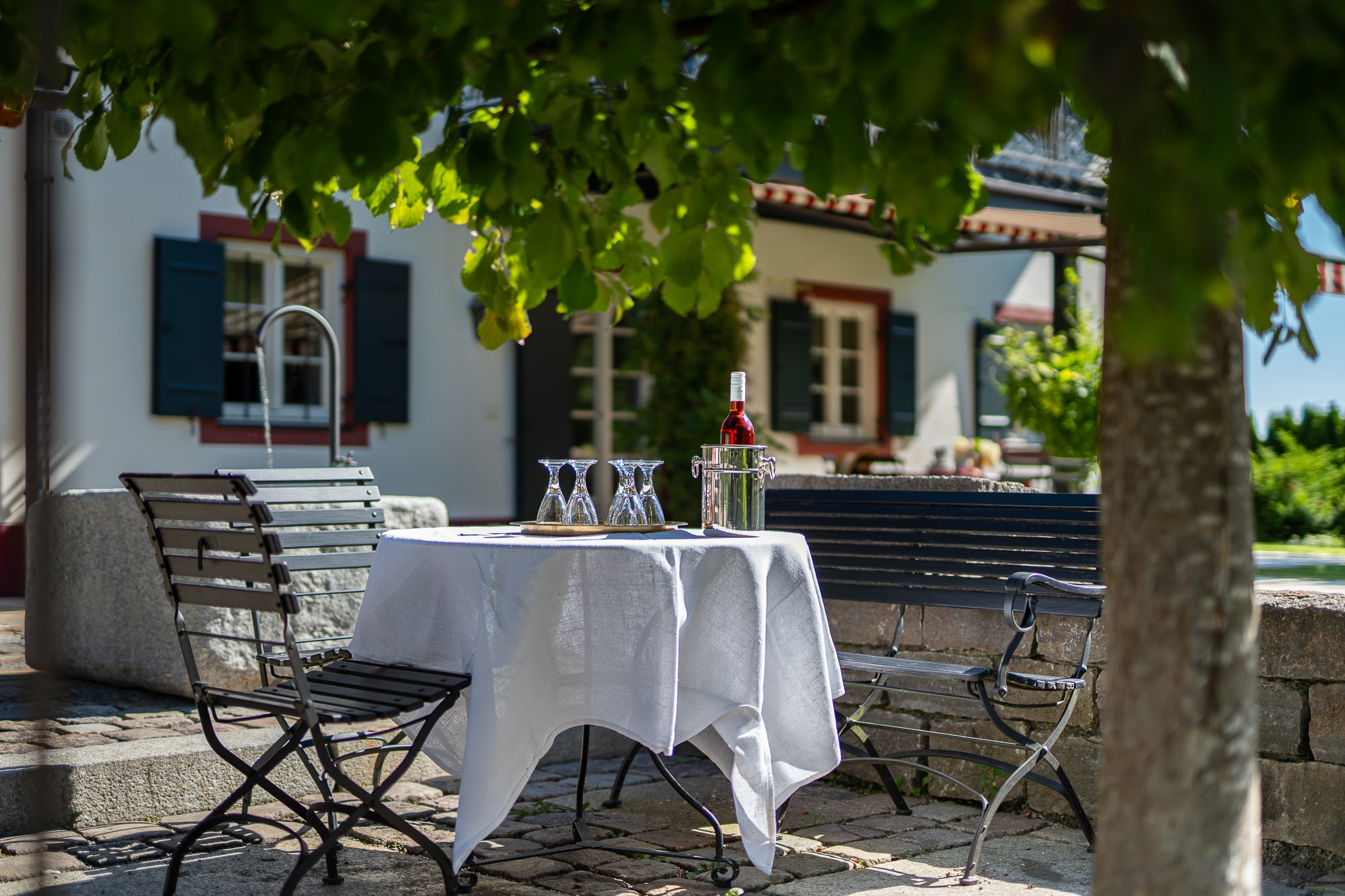 A refuge with style - sophisticated living in the Landschlößl - 物件實景