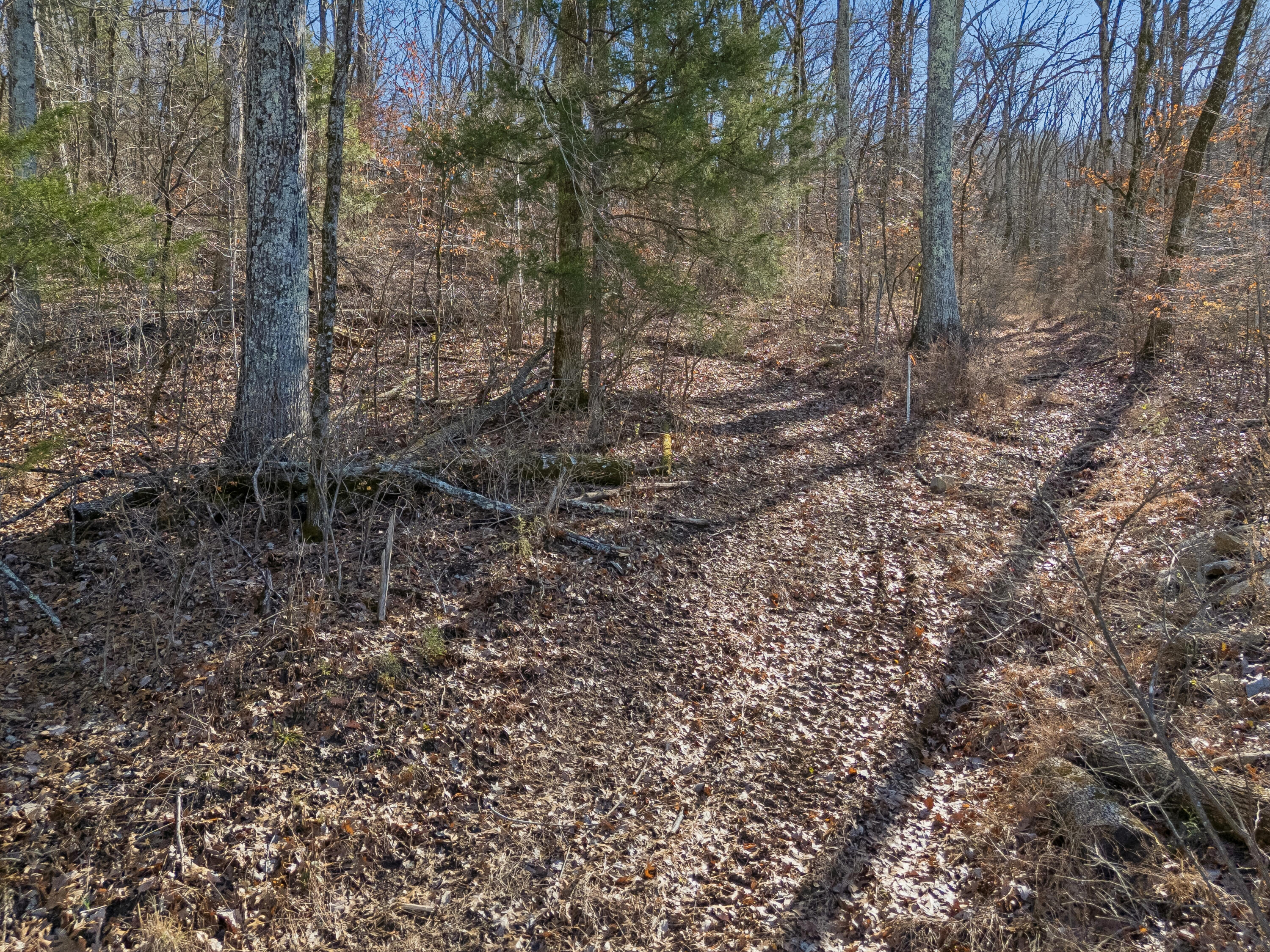 Brentwood, Tennessee, 37027, United States, ,Land,For Sale,2005446