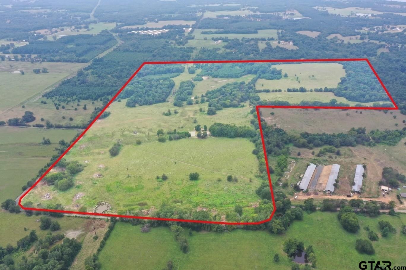 Pittsburg, Texas, 75686, United States, ,Land,For Sale,1976624