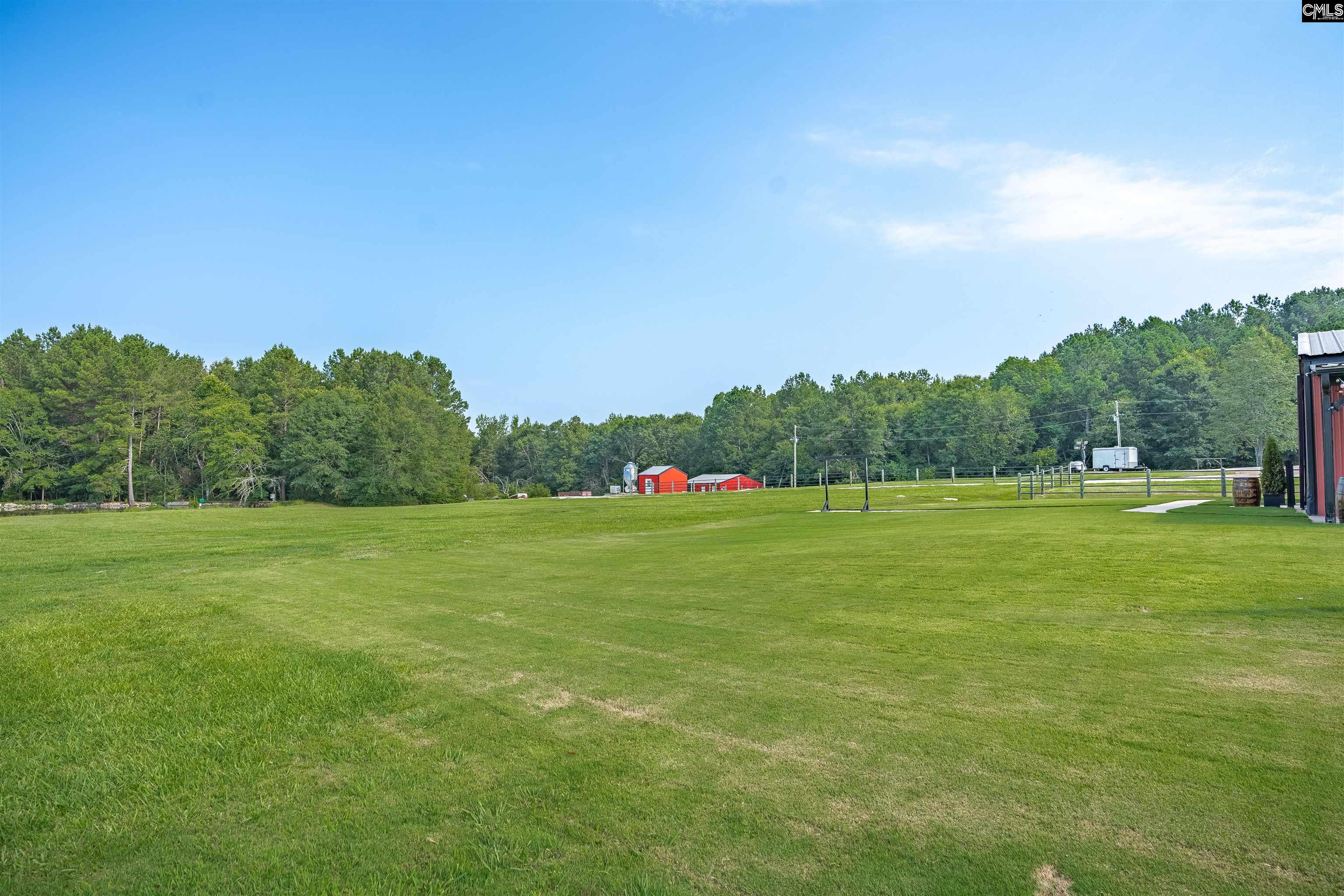 Newberry, South Carolina, 29108, United States, 3 Bedrooms Bedrooms, ,3 BathroomsBathrooms,Residential,For Sale,1987677