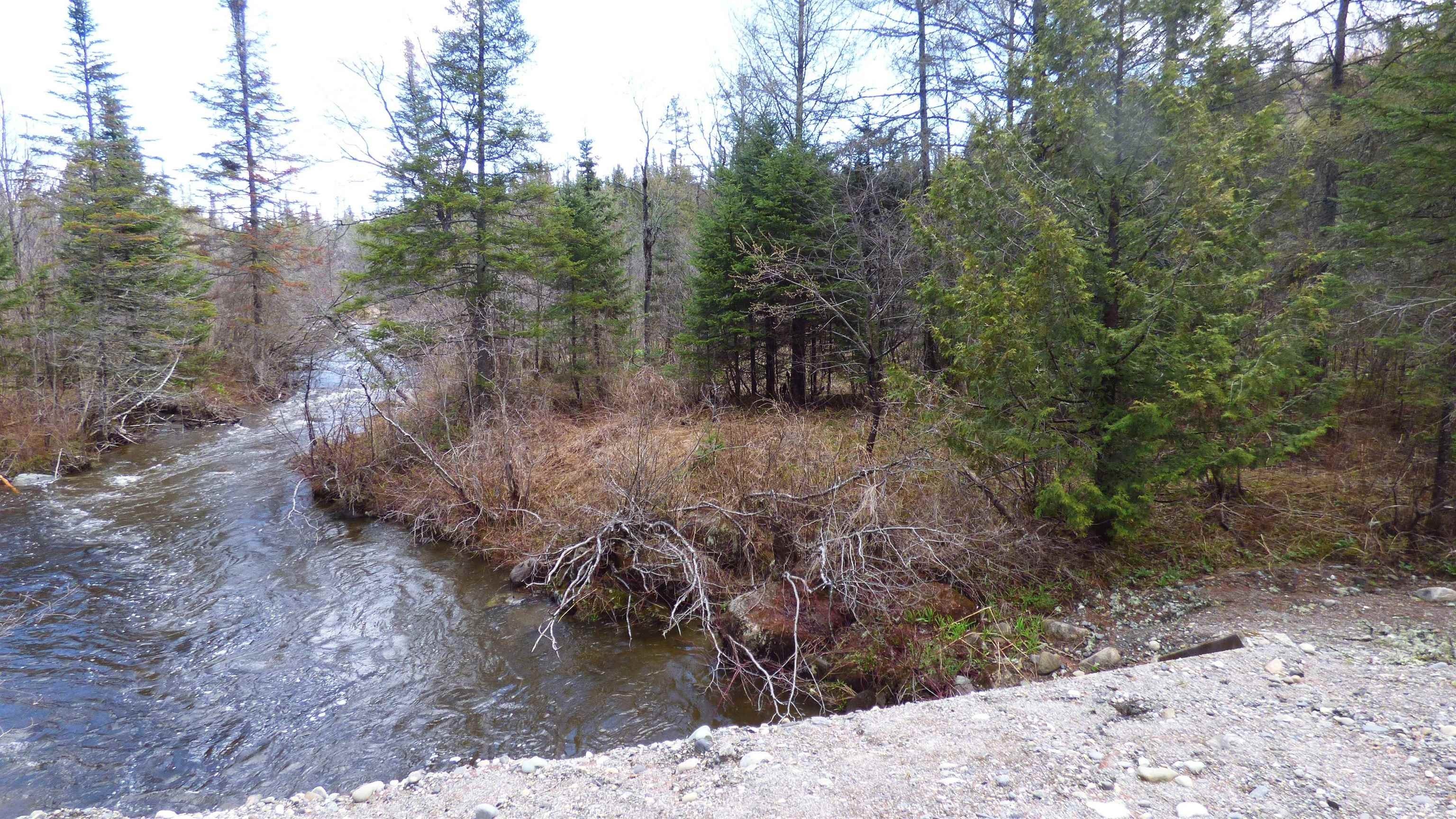 Wheelock, Vermont, 05851, United States, ,Land,For Sale,2017669