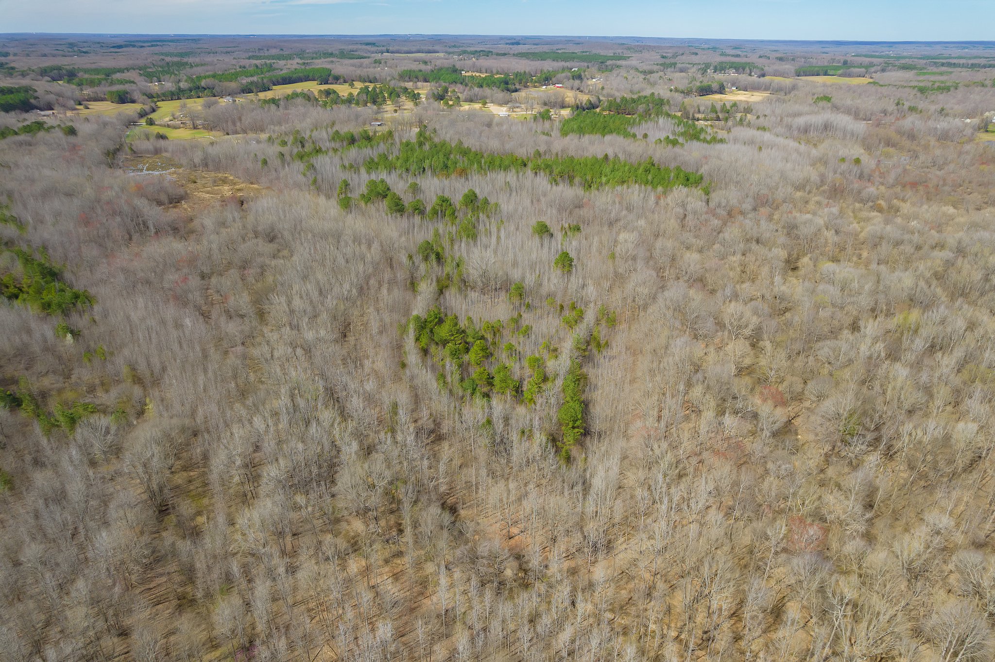 Beech Bluff, Tennessee, 38313, United States, 5 Bedrooms Bedrooms, ,3 BathroomsBathrooms,Residential,For Sale,1743753