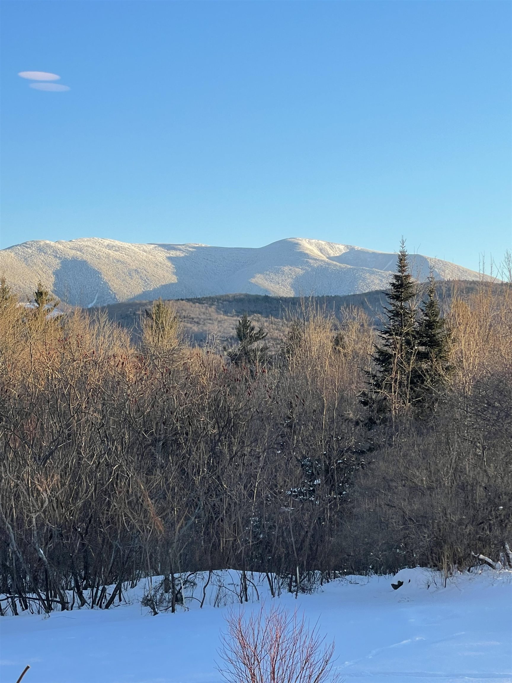 Landaff, New Hampshire, 03785, United States, 3 Bedrooms Bedrooms, ,1 BathroomBathrooms,Residential,For Sale,1856488