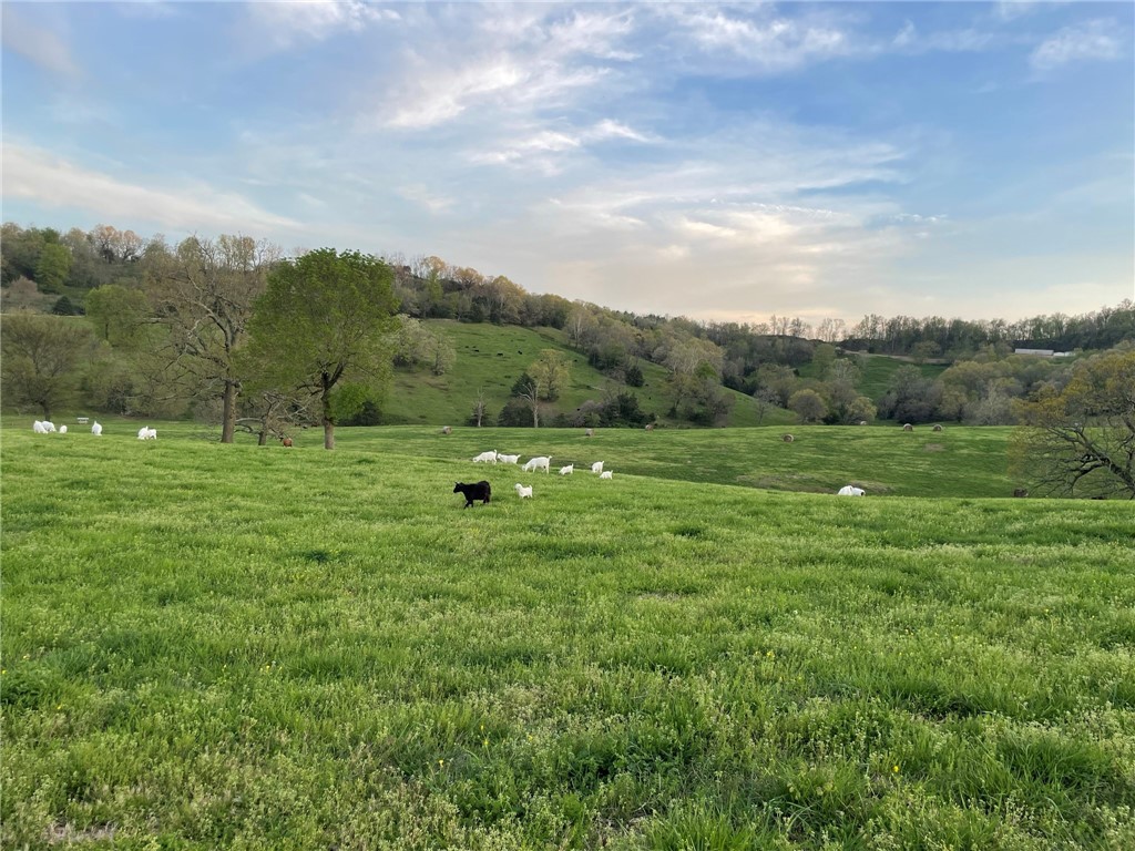 Berryville, Arkansas, 72616, United States, 6 Bedrooms Bedrooms, ,4 BathroomsBathrooms,Residential,For Sale,1988341