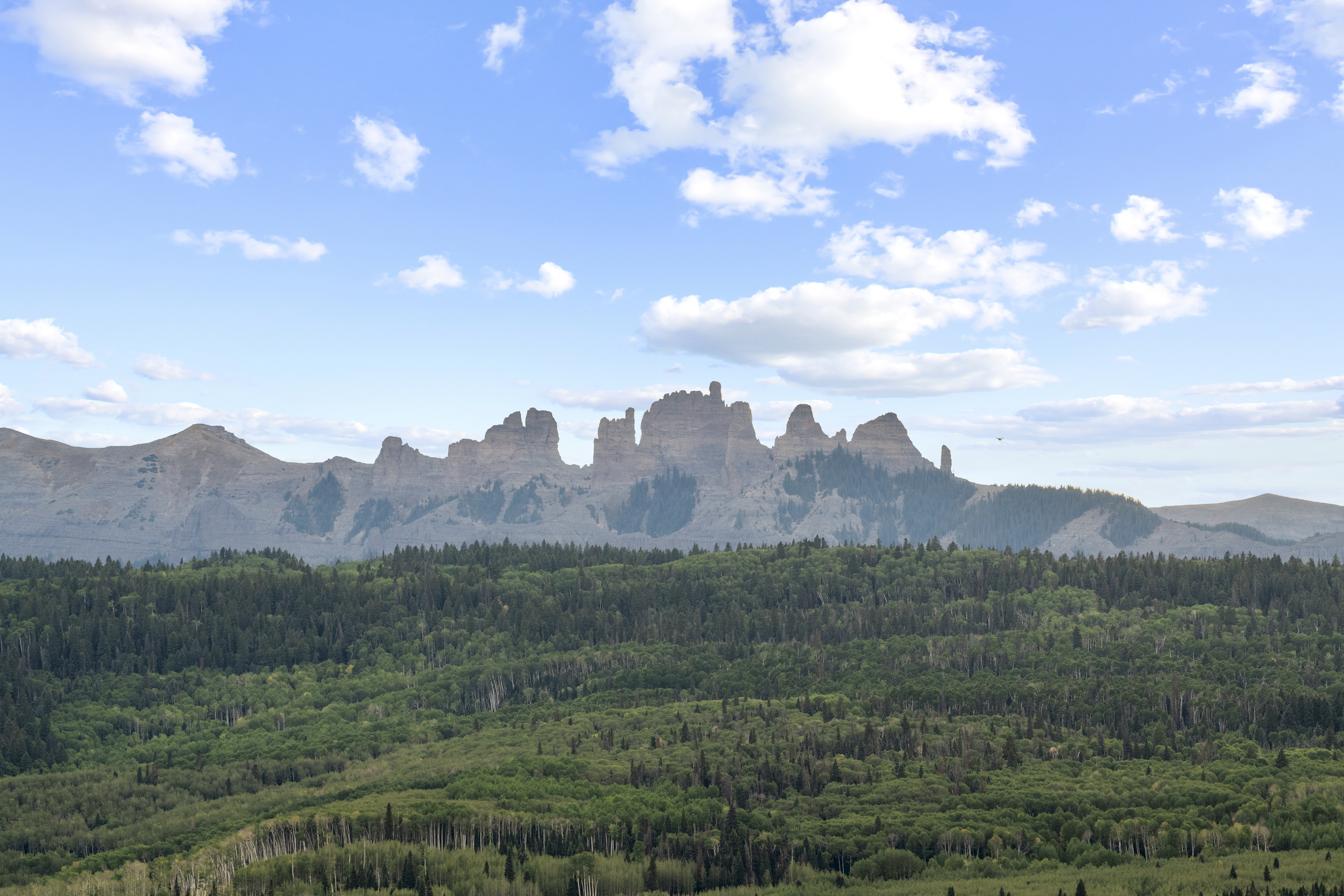  A True Colorado Legacy Property on 35 Acres - 物件實景