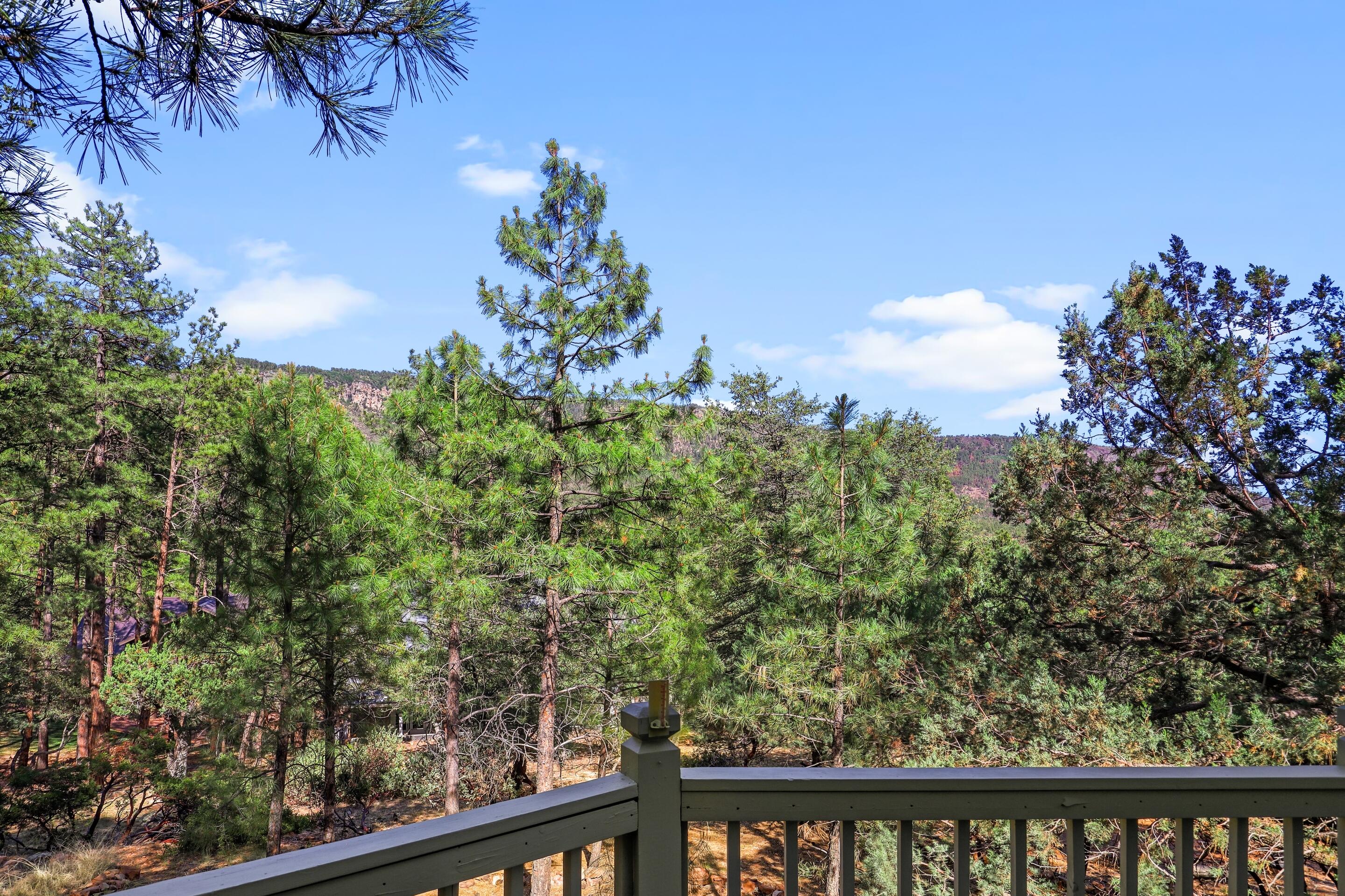 Pine, Arizona, 85544, United States, 3 Bedrooms Bedrooms, ,1 BathroomBathrooms,Residential,For Sale,1874773