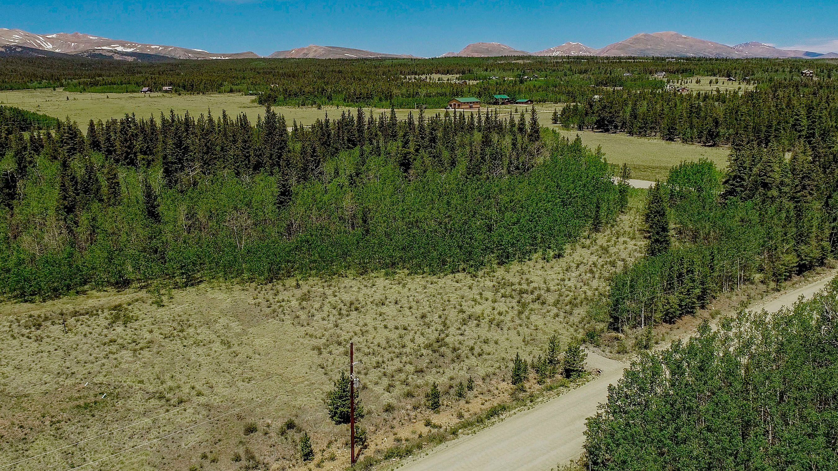  515 Wild Rye Road, Fairplay, CO, 80440 - 物件實景