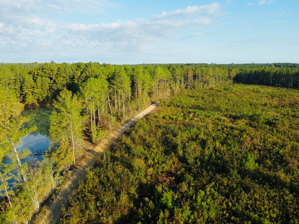 Abbeville, Georgia, 31001, United States, ,Land,For Sale,1975130