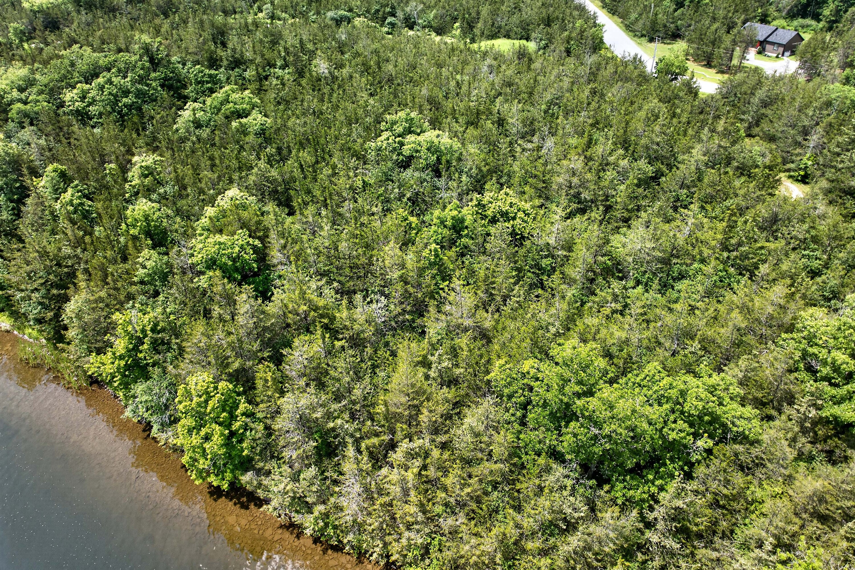  Trent Hills, Eastern Ontario - 物件實景