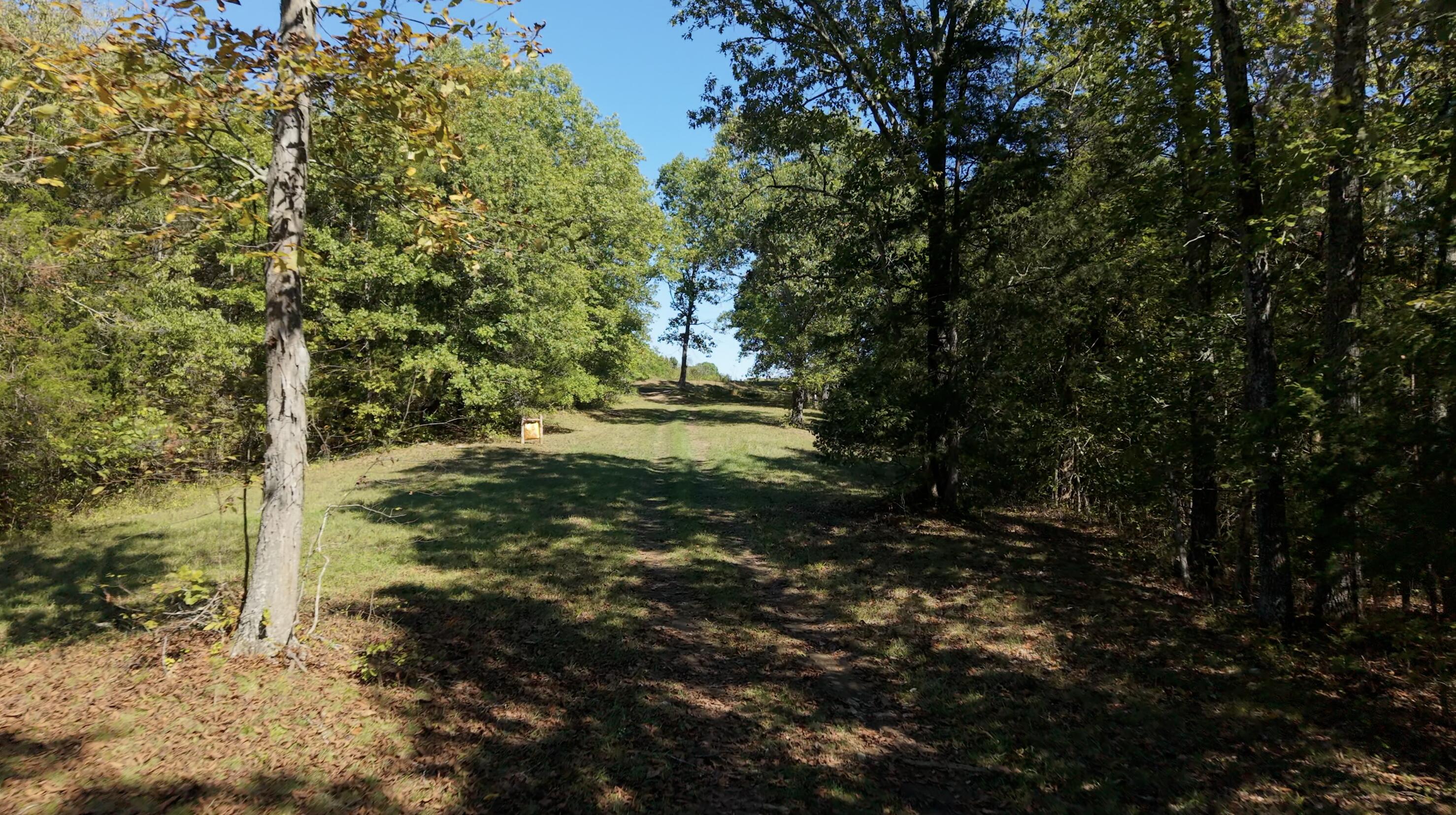 Willisburg, Kentucky, 40078, United States, 4 Bedrooms Bedrooms, ,1 BathroomBathrooms,Residential,For Sale,1962831