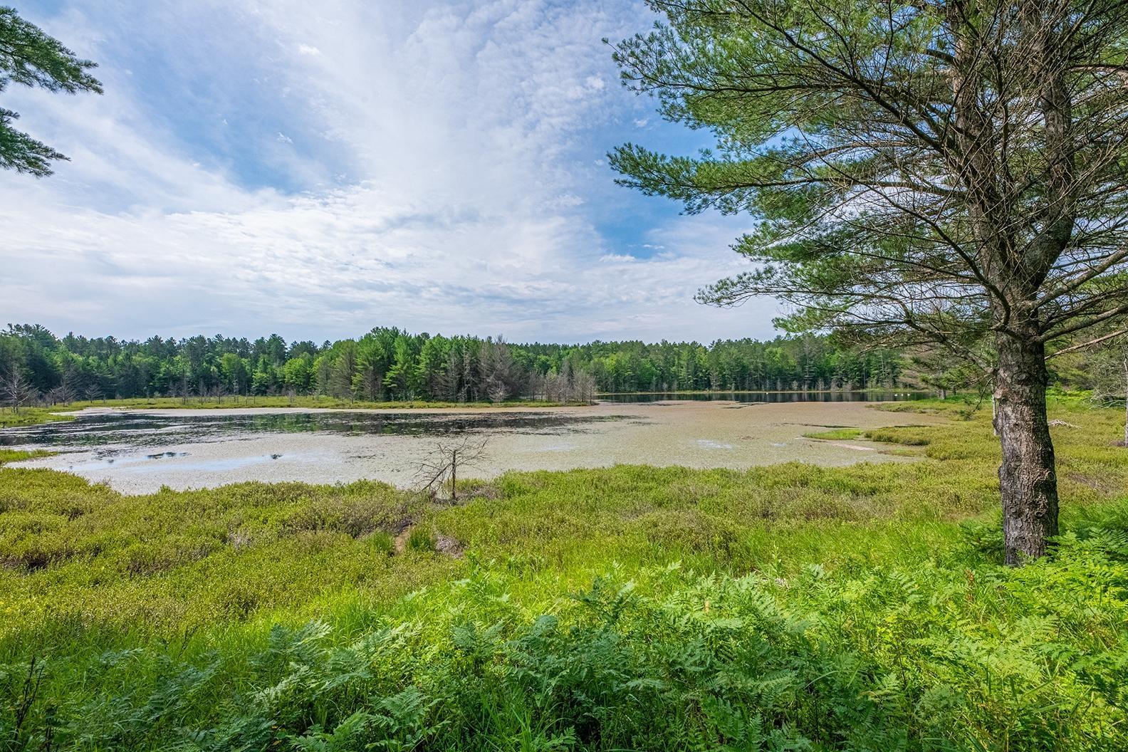 Watersmeet, Michigan, 49969, United States, 4 Bedrooms Bedrooms, ,3 BathroomsBathrooms,Residential,For Sale,1979345