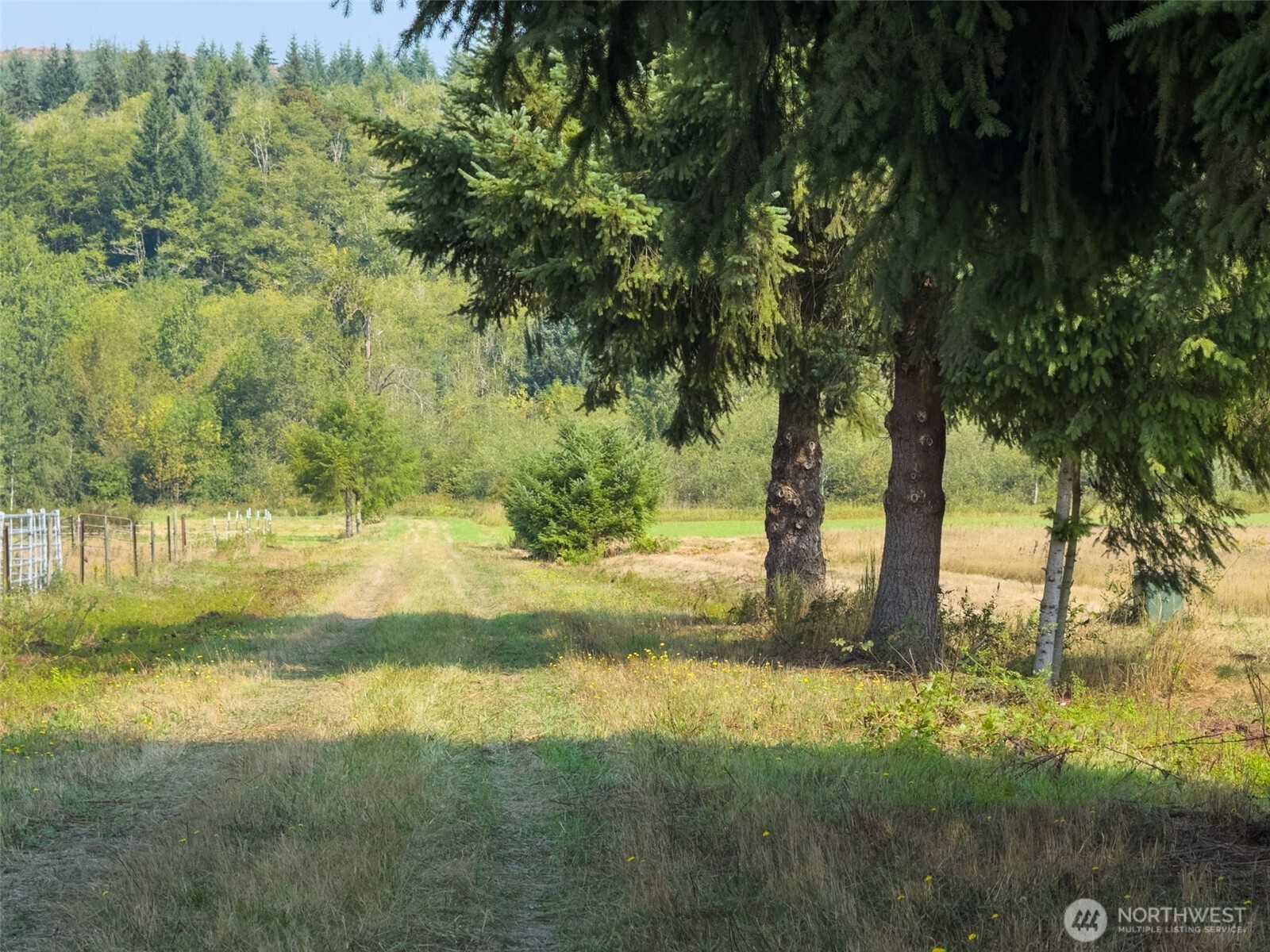 Onalaska, Washington, 98570, United States, ,Land,For Sale,1994245
