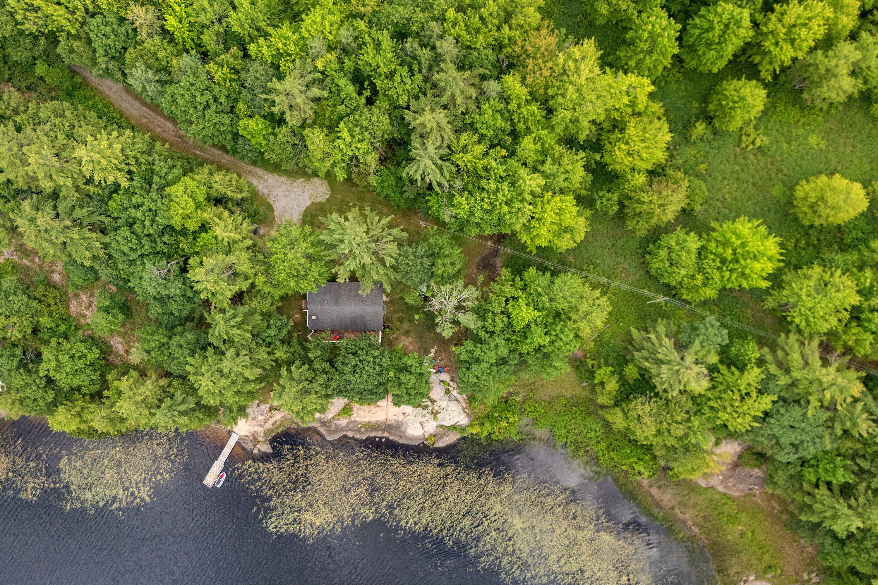  Gibson Lake Family Cottage - 物件實景