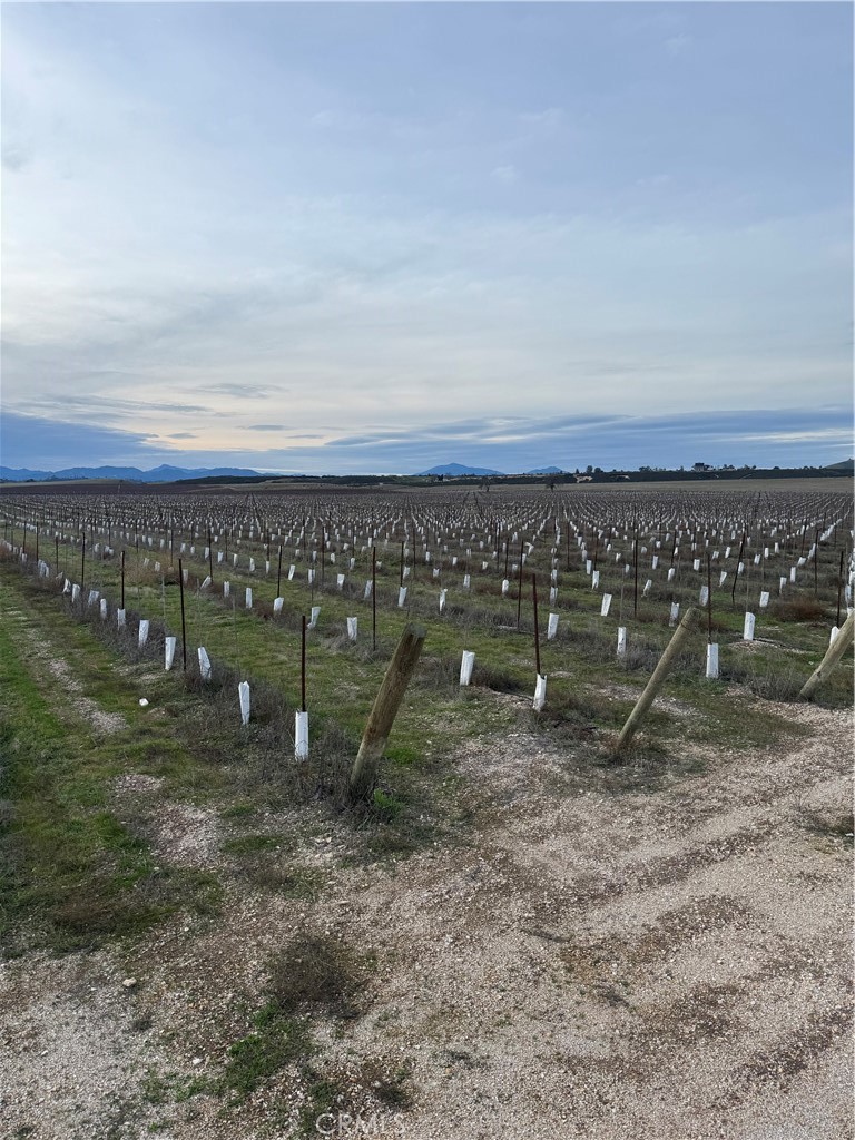 Lockwood, California, 93932, United States, ,Land,For Sale,2006086