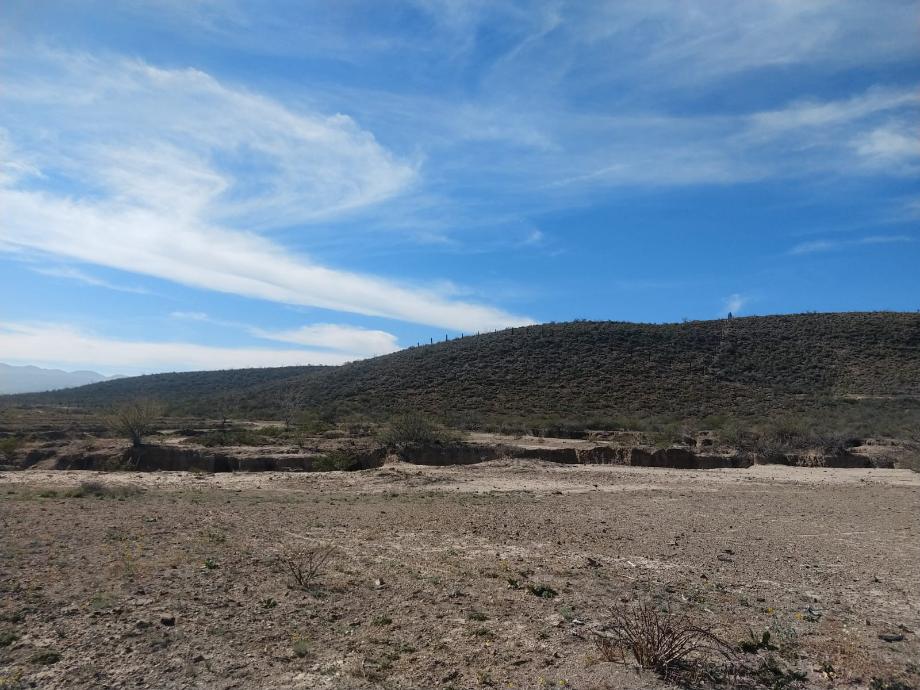 KM 3 CARRETERA PARRAS A GENERAL CEPEDA, Parras, Coahuila de Zaragoza, 27987, Mexico, 1 Bedroom Bedrooms, ,Residential,For Sale,KM 3 CARRETERA PARRAS A GENERAL CEPEDA,1472261