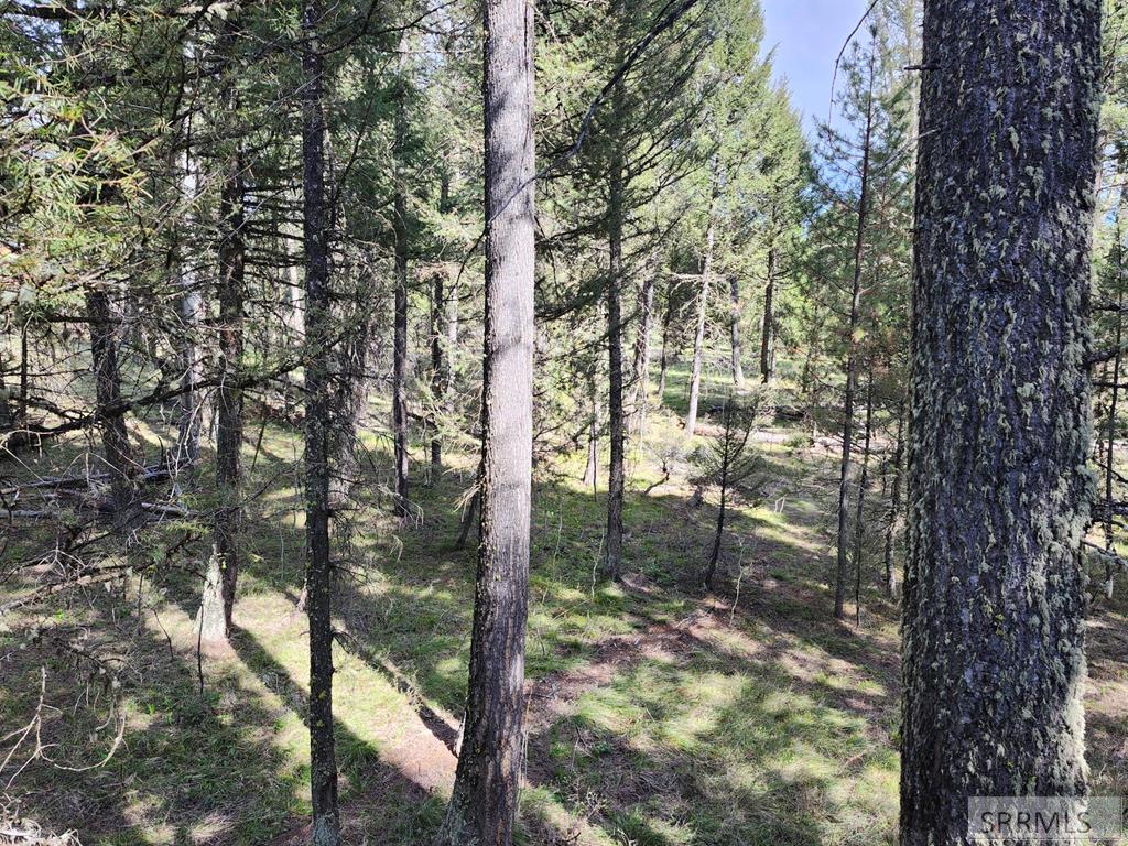 Island Park, Idaho, 83429, United States, 3 Bedrooms Bedrooms, ,2 BathroomsBathrooms,Residential,For Sale,1766025