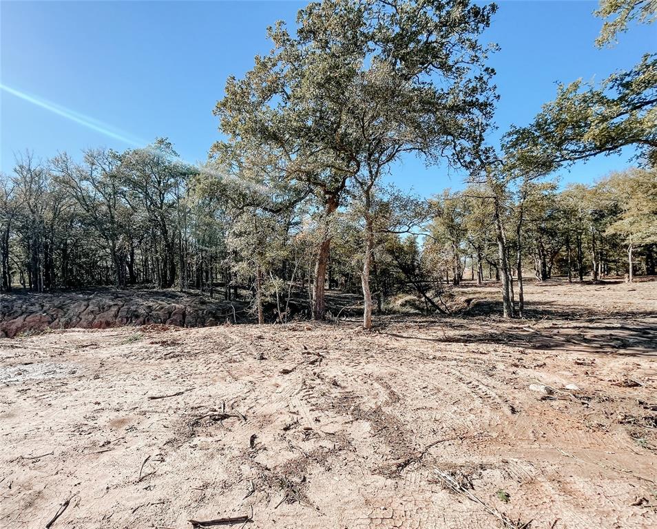 Millsap, Texas, 76066, United States, 4 Bedrooms Bedrooms, ,3 BathroomsBathrooms,Residential,For Sale,1980823