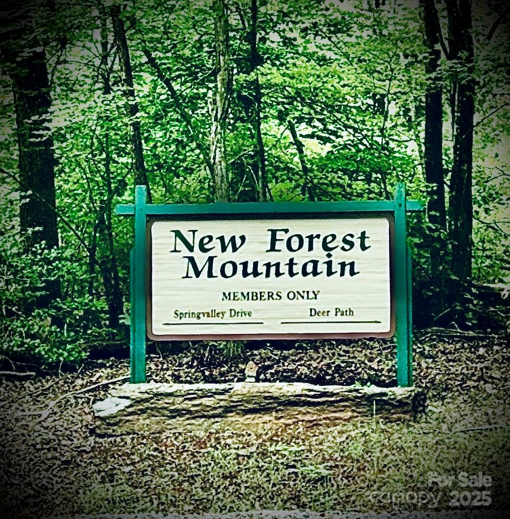 Union Mills, North Carolina, 28167, United States, ,Land,For Sale,2002833