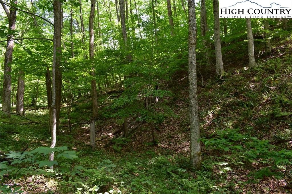 Warrensville, North Carolina, 28693, United States, ,Land,For Sale,1984173