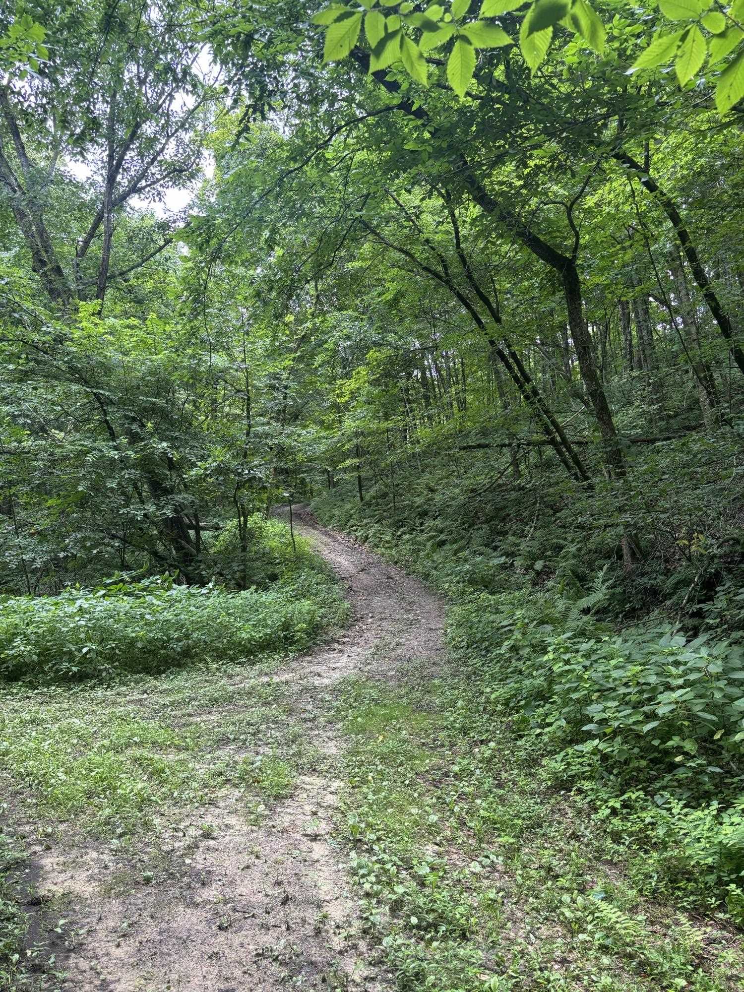 Gays Mills, Wisconsin, 54631, United States, ,Residential,For Sale,1928729
