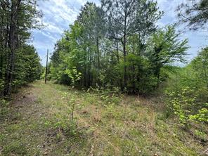 Naples, Texas, 75568, United States, ,Land,For Sale,1786234