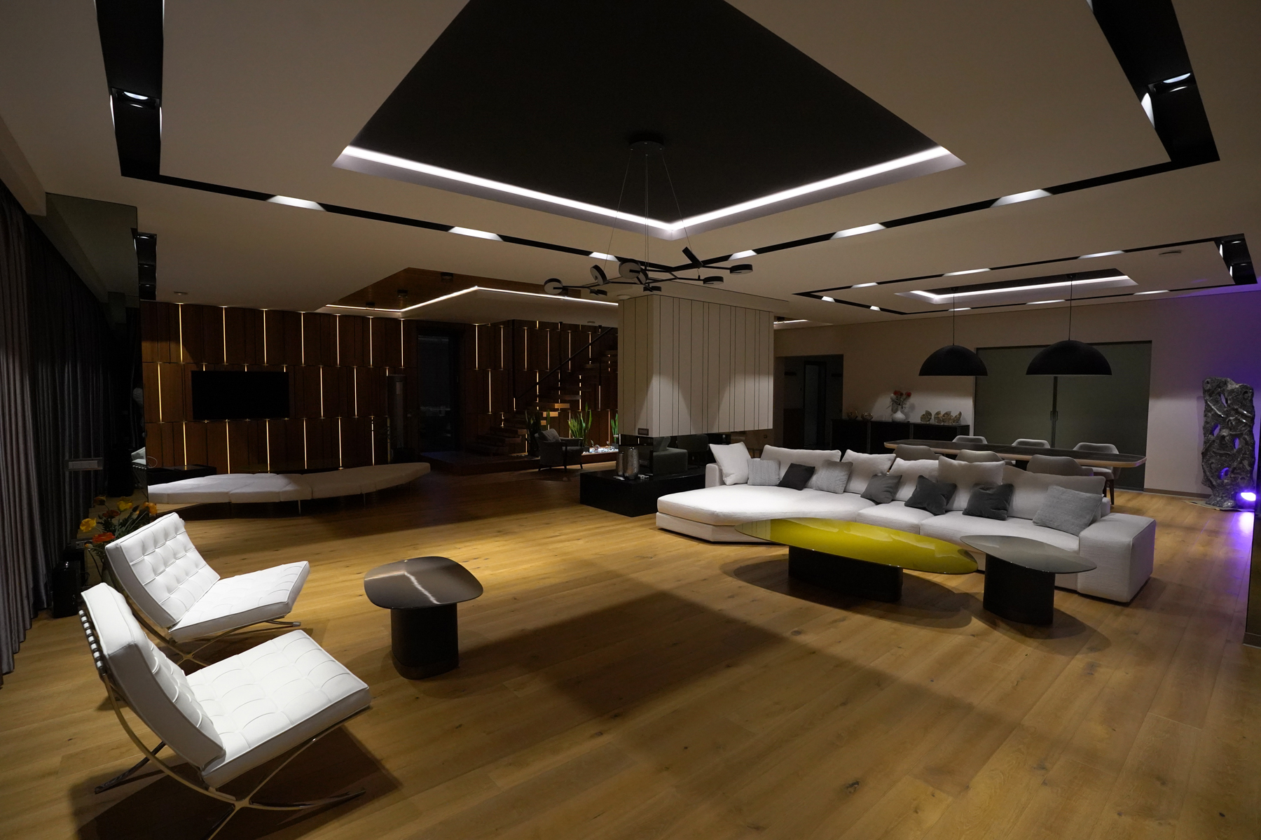  Hollywood Lifestyle in the Most Exclusive Area of Braov - 物件實景