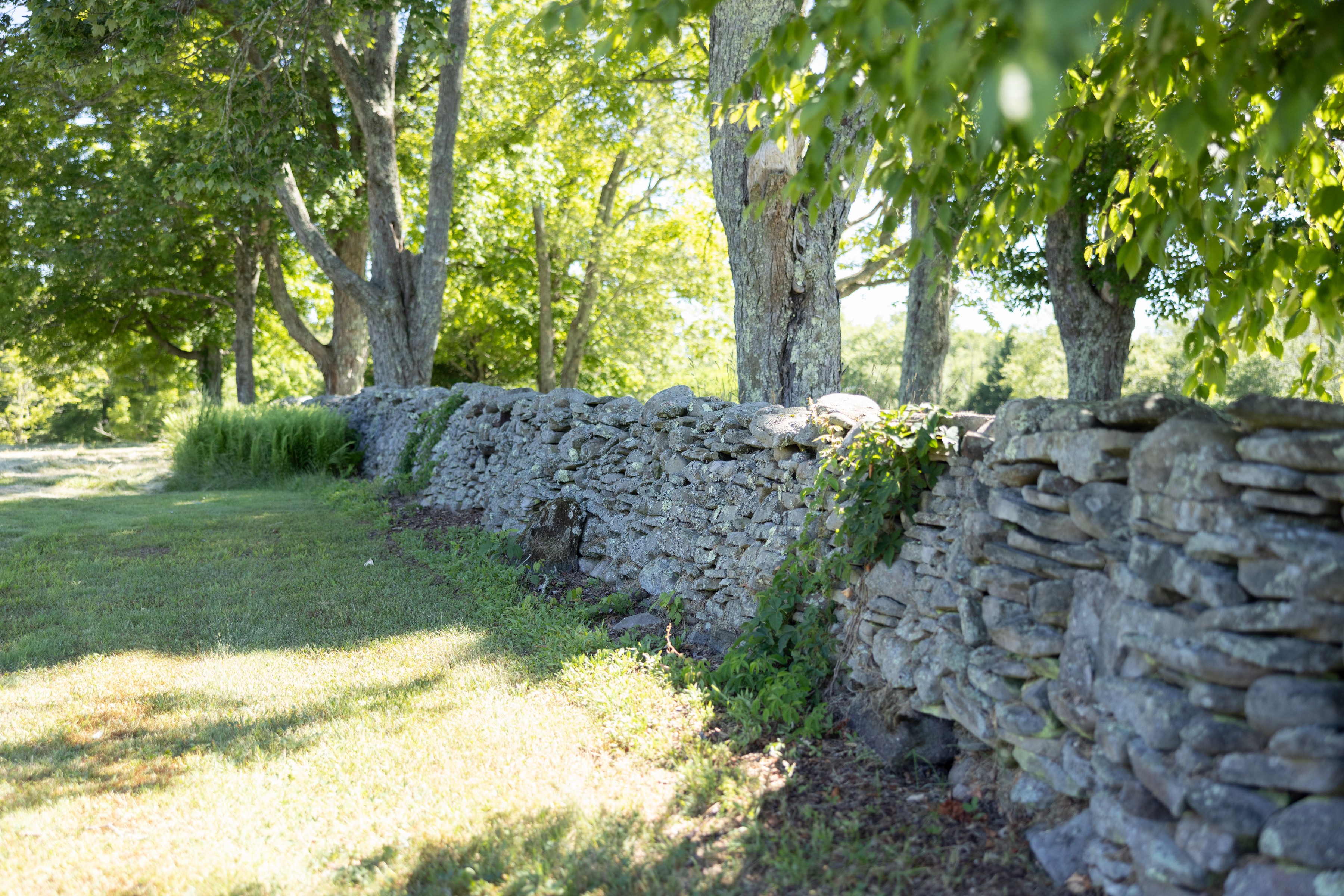  Fraser Settlement 1808 - 物件實景