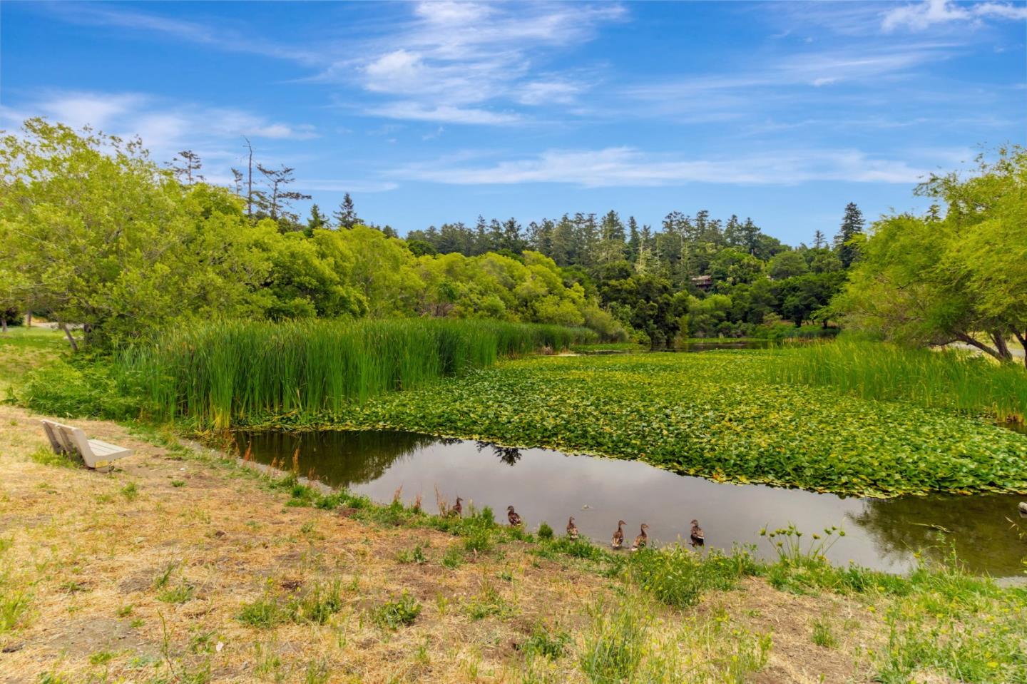 La Honda, California, 94020, United States, 1 Bedroom Bedrooms, ,1 BathroomBathrooms,Residential,For Sale,1989093