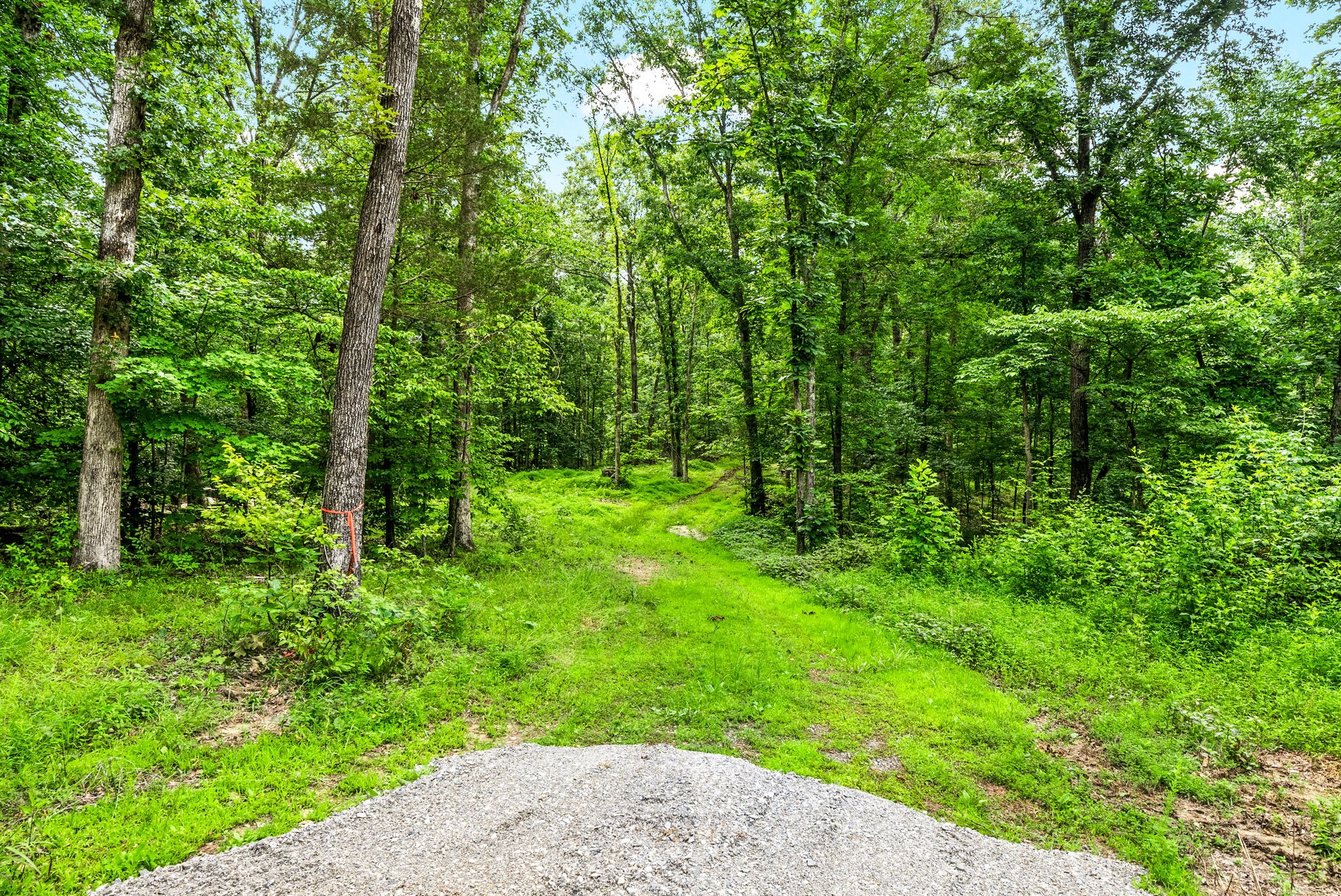  196 Wildlife Road, Dover, TN, 37058 - 物件實景