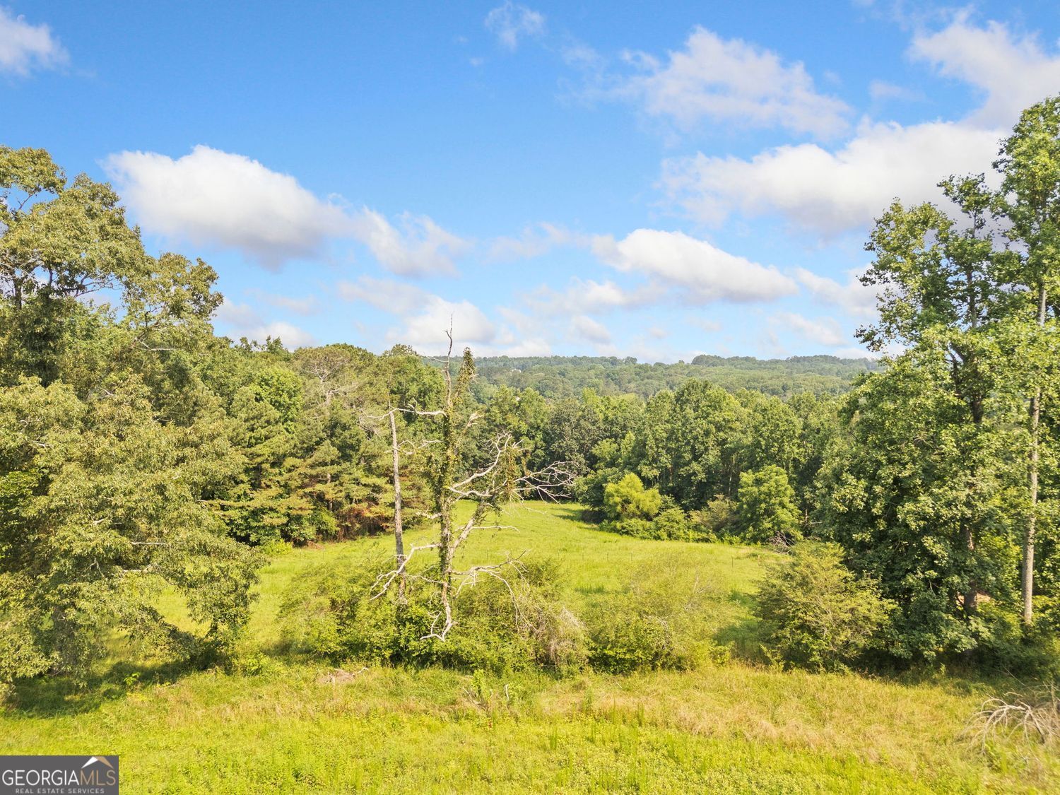 Ball Ground, Georgia, 30107, United States, ,Land,For Sale,1858966
