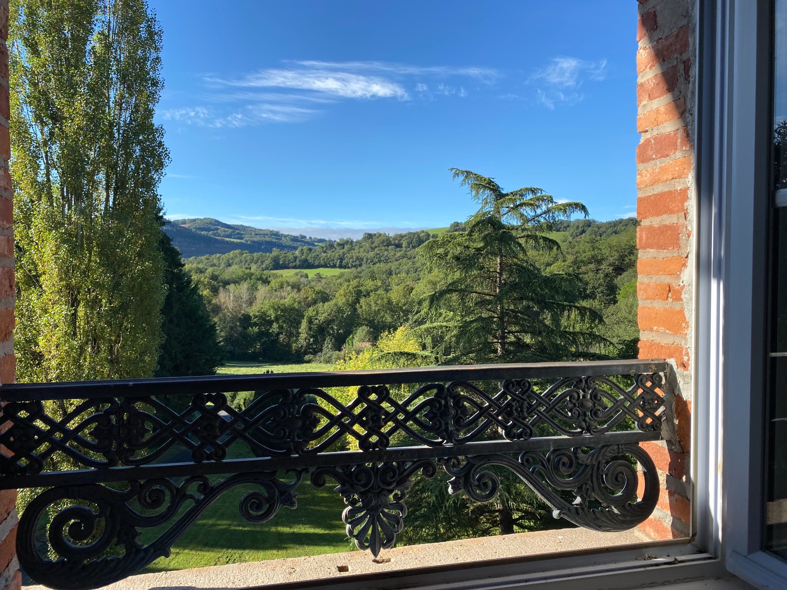  ALBI (30 MIN) - MANSION - 552 M2 - LAND 4 HA - 物件實景