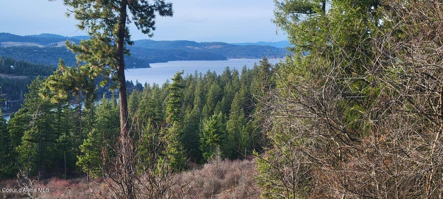 Harrison, Idaho, 83833, United States, 1 Bedroom Bedrooms, ,1 BathroomBathrooms,Residential,For Sale,1980772