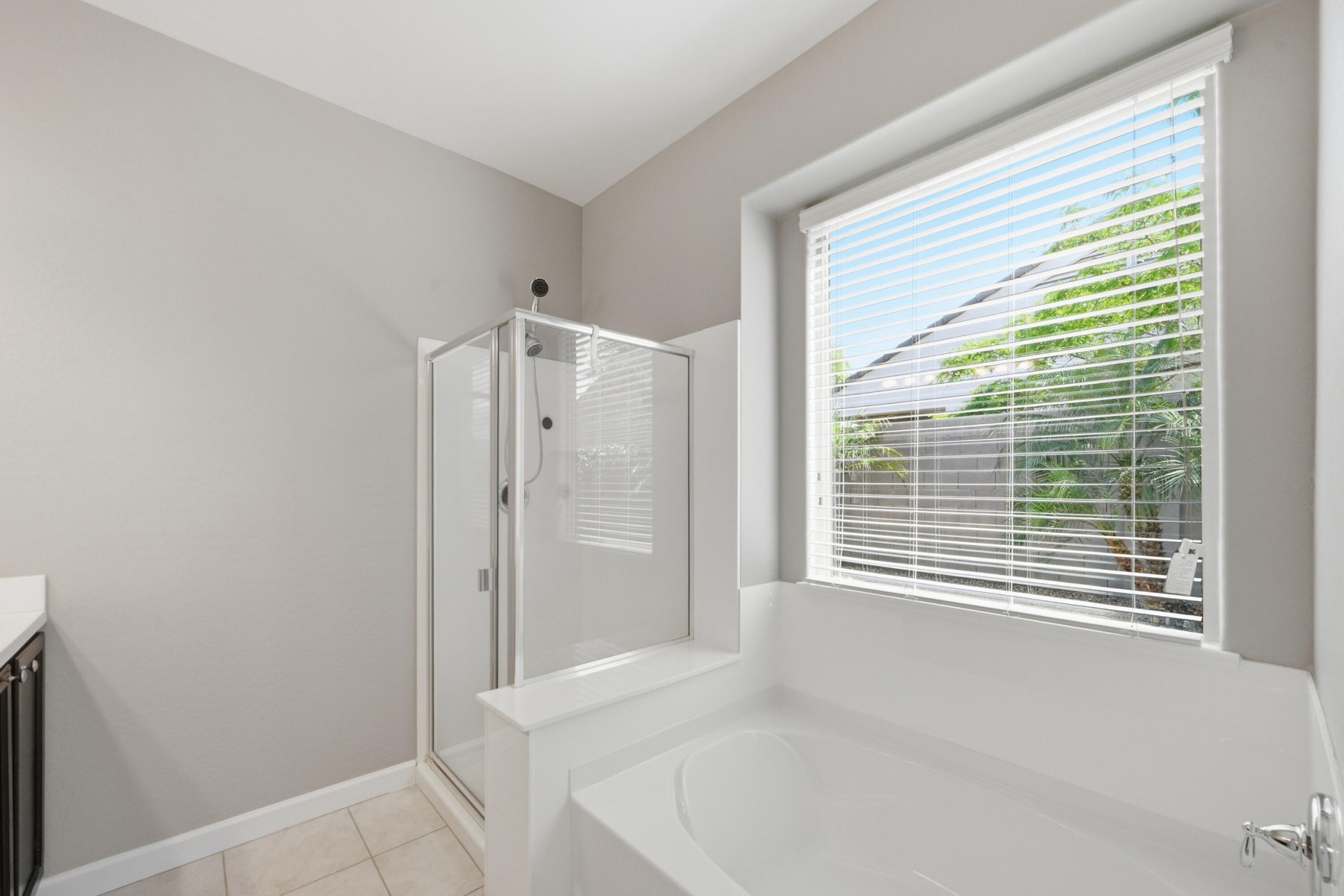  4071 W White Canyon Road  San Tan Valley, AZ - 物件實景