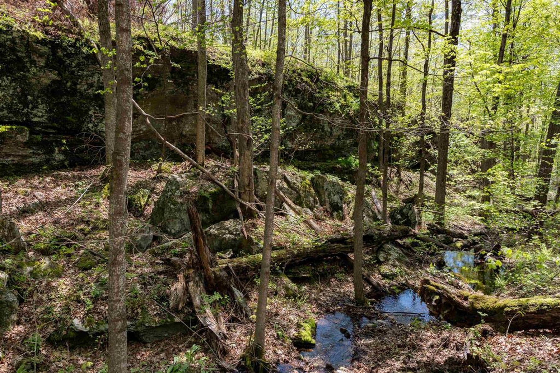  189 Shagbark Lane - 物件實景