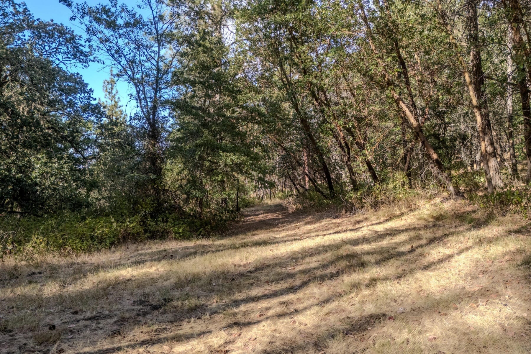  3583 S Stage Road #Lot 10 Medford, OR 97501 - 物件實景