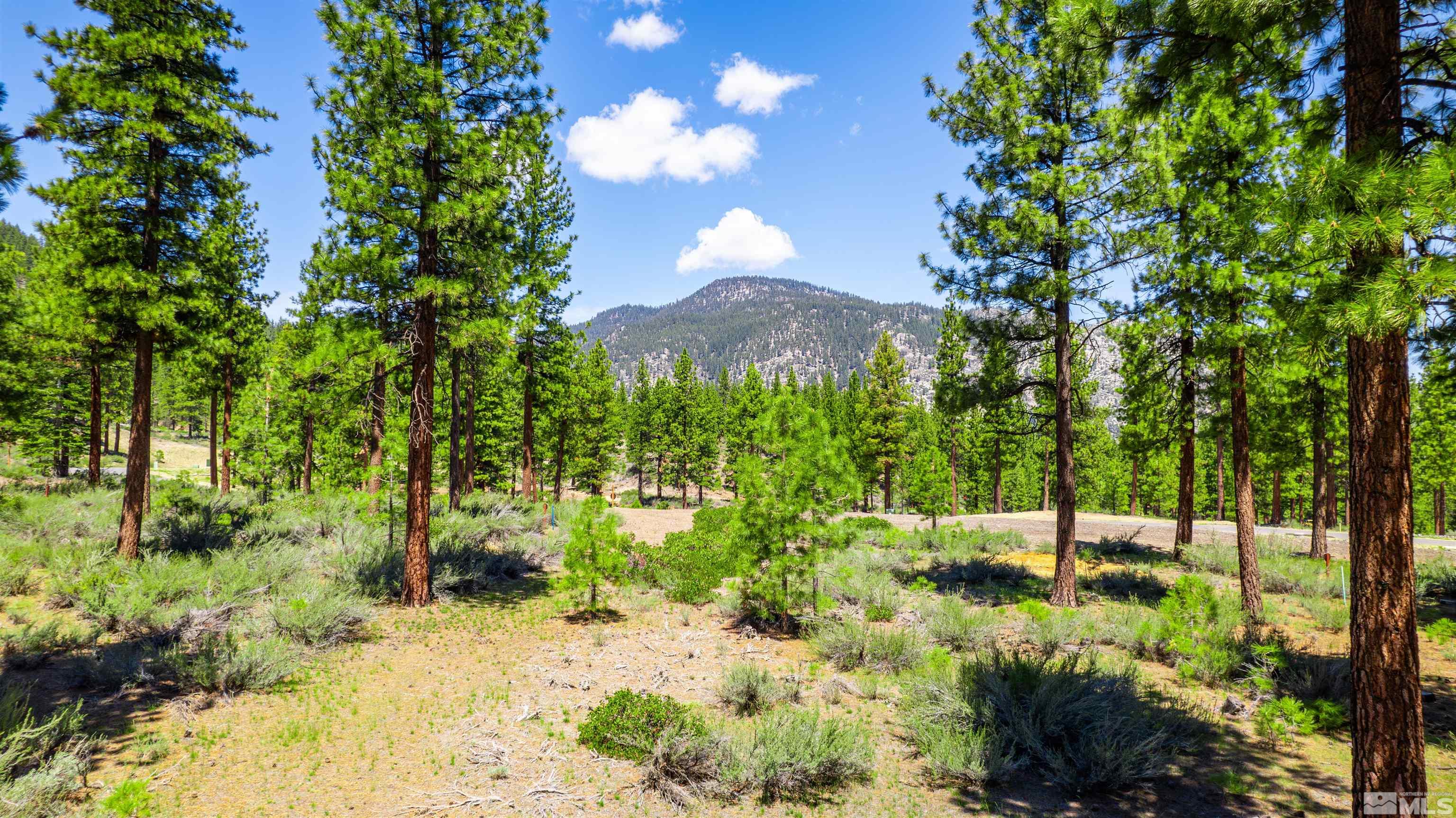 Carson City, Nevada, 89705, United States, ,Land,For Sale,1826407