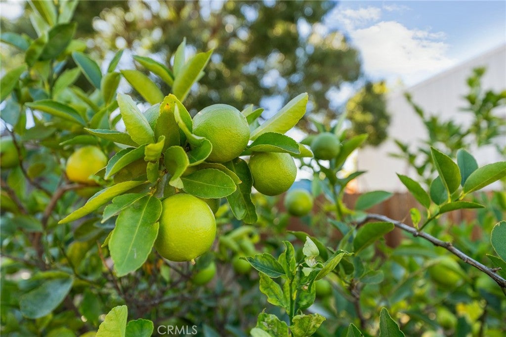 Yucaipa, California, 92399, United States, 3 Bedrooms Bedrooms, ,3 BathroomsBathrooms,Residential,For Sale,1981591