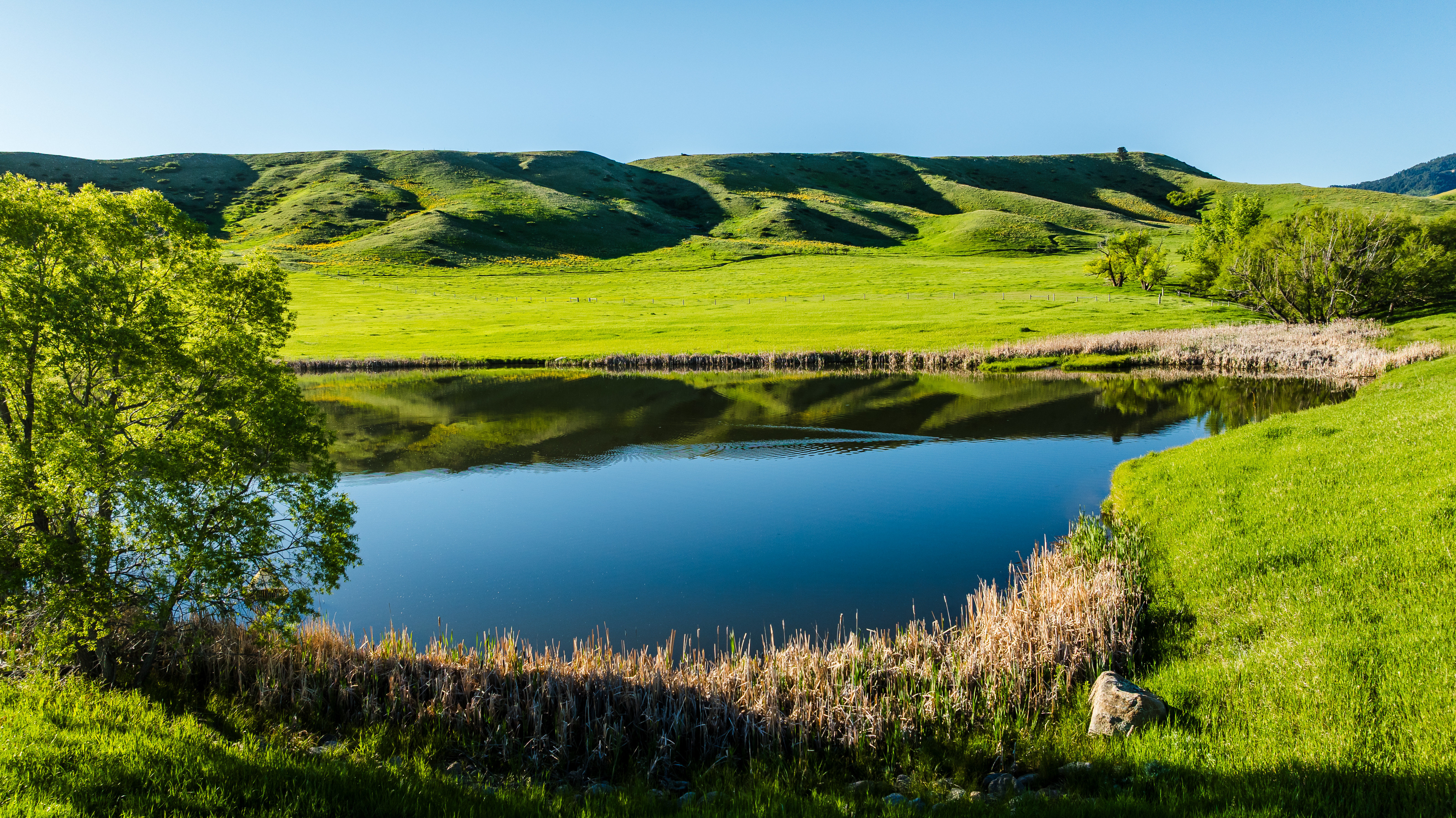 Big Horn, Wyoming, 82833, United States, ,Residential,For Sale,1976689