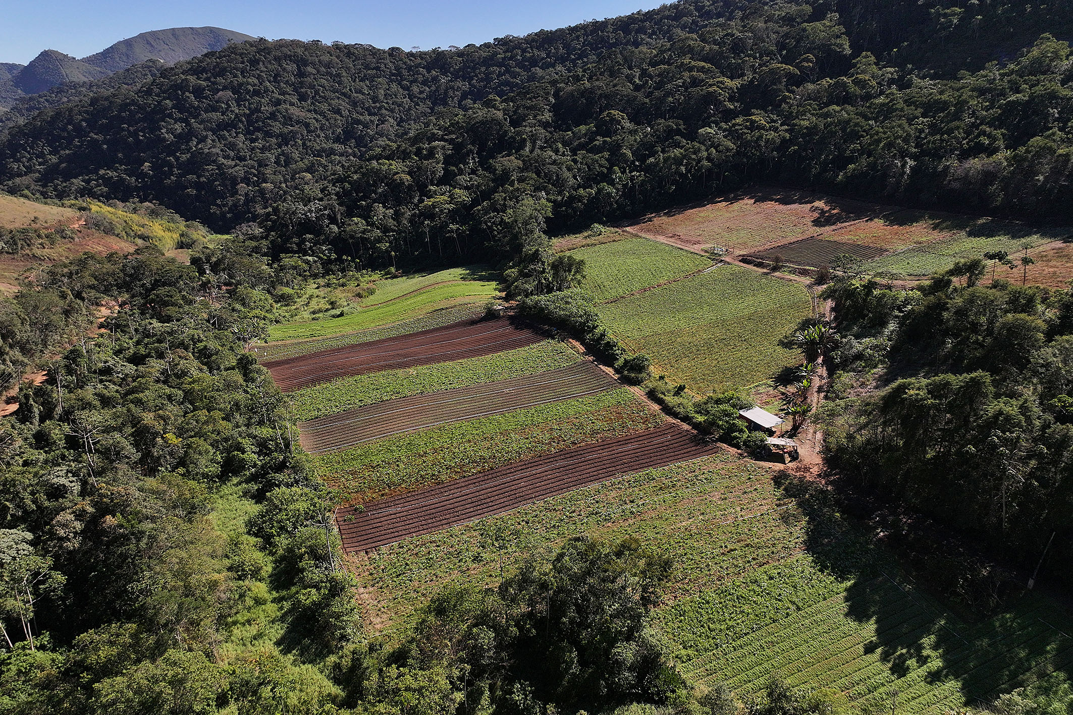  Productive estate spanning 865 acres in the mountains of Teresópolis - 物件實景