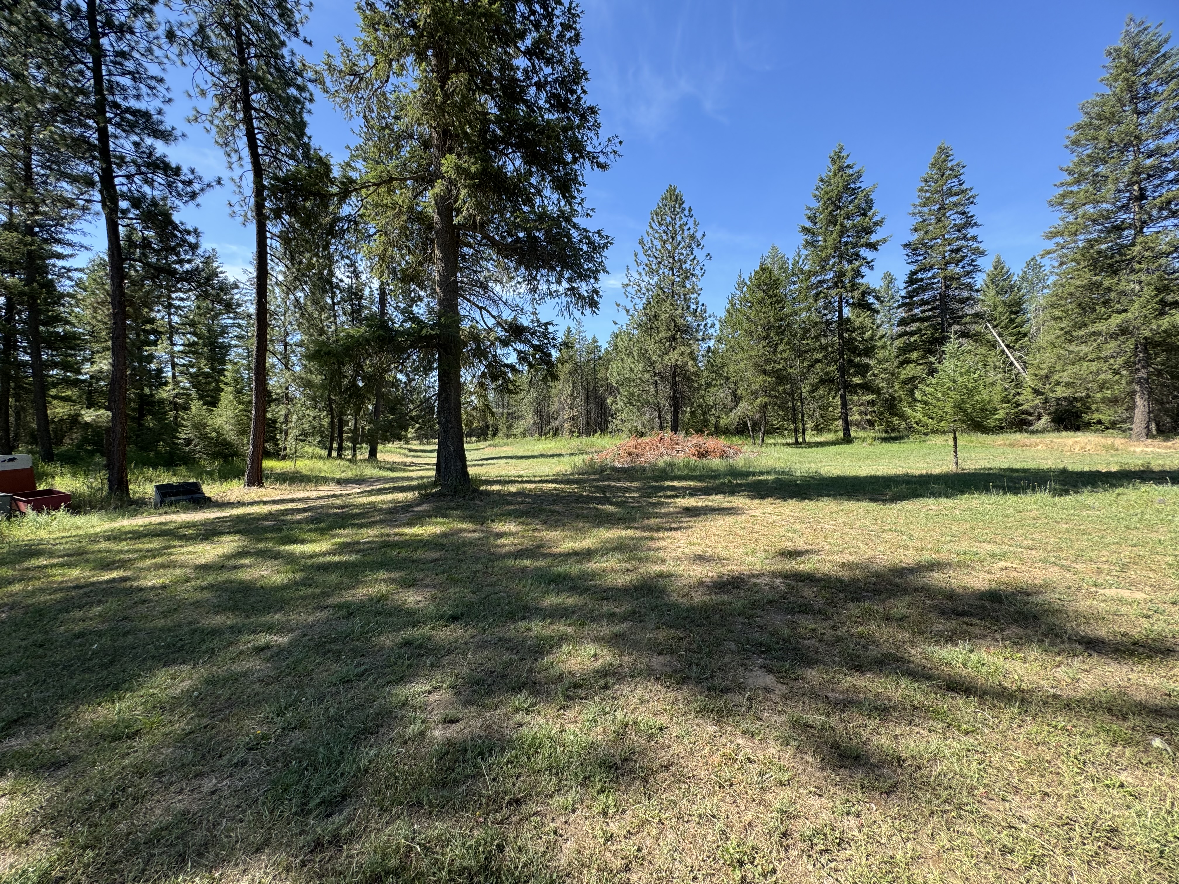 Oldtown, Idaho, 83822, United States, 3 Bedrooms Bedrooms, ,1 BathroomBathrooms,Residential,For Sale,1983912