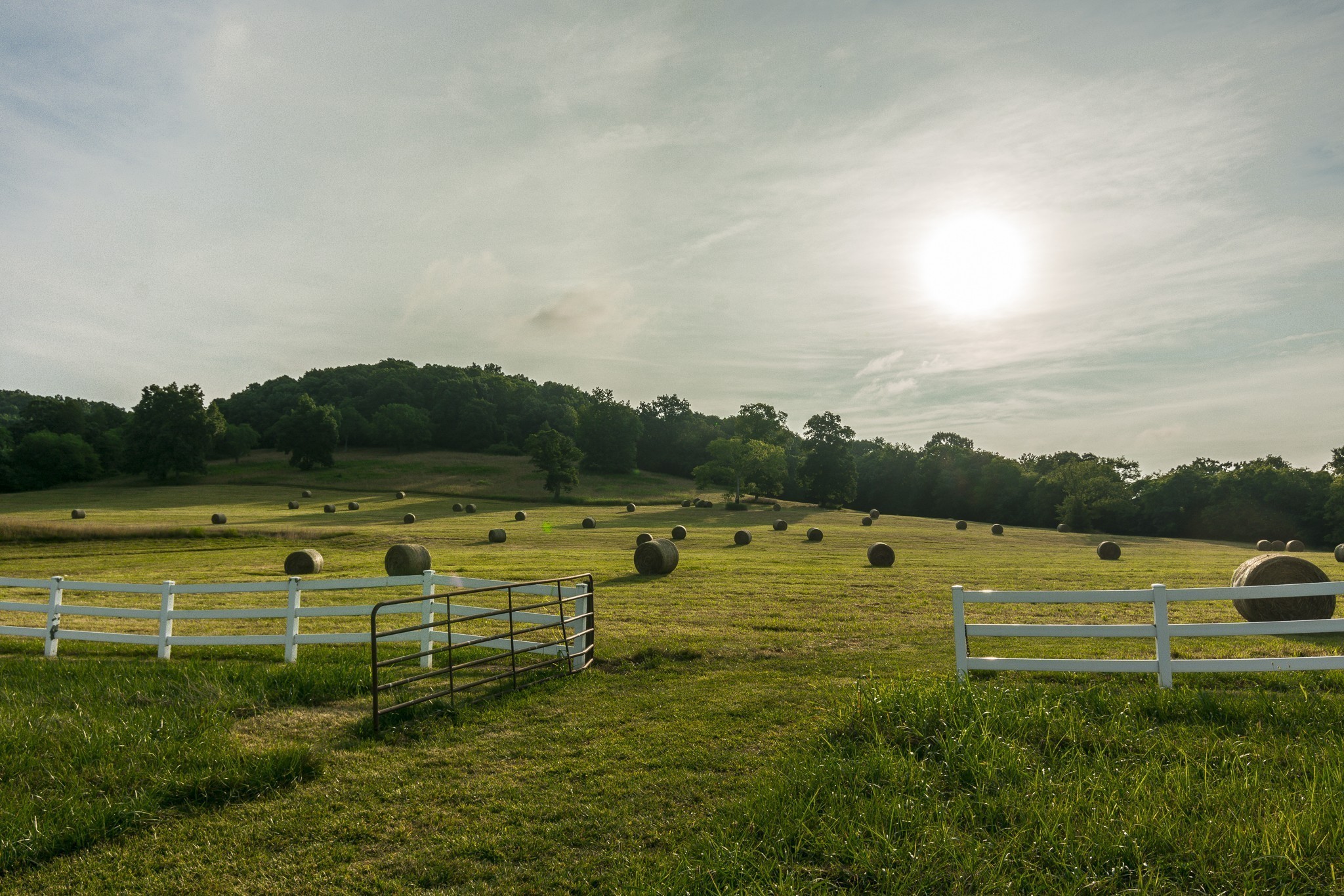 Hendersonville, Tennessee, 37075, United States, ,Residential,For Sale,1869992