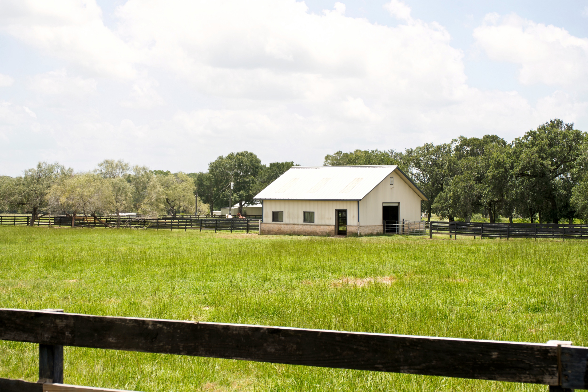  76.77 Acres, Colorado County, Weimer, TX 78962 - 物件實景