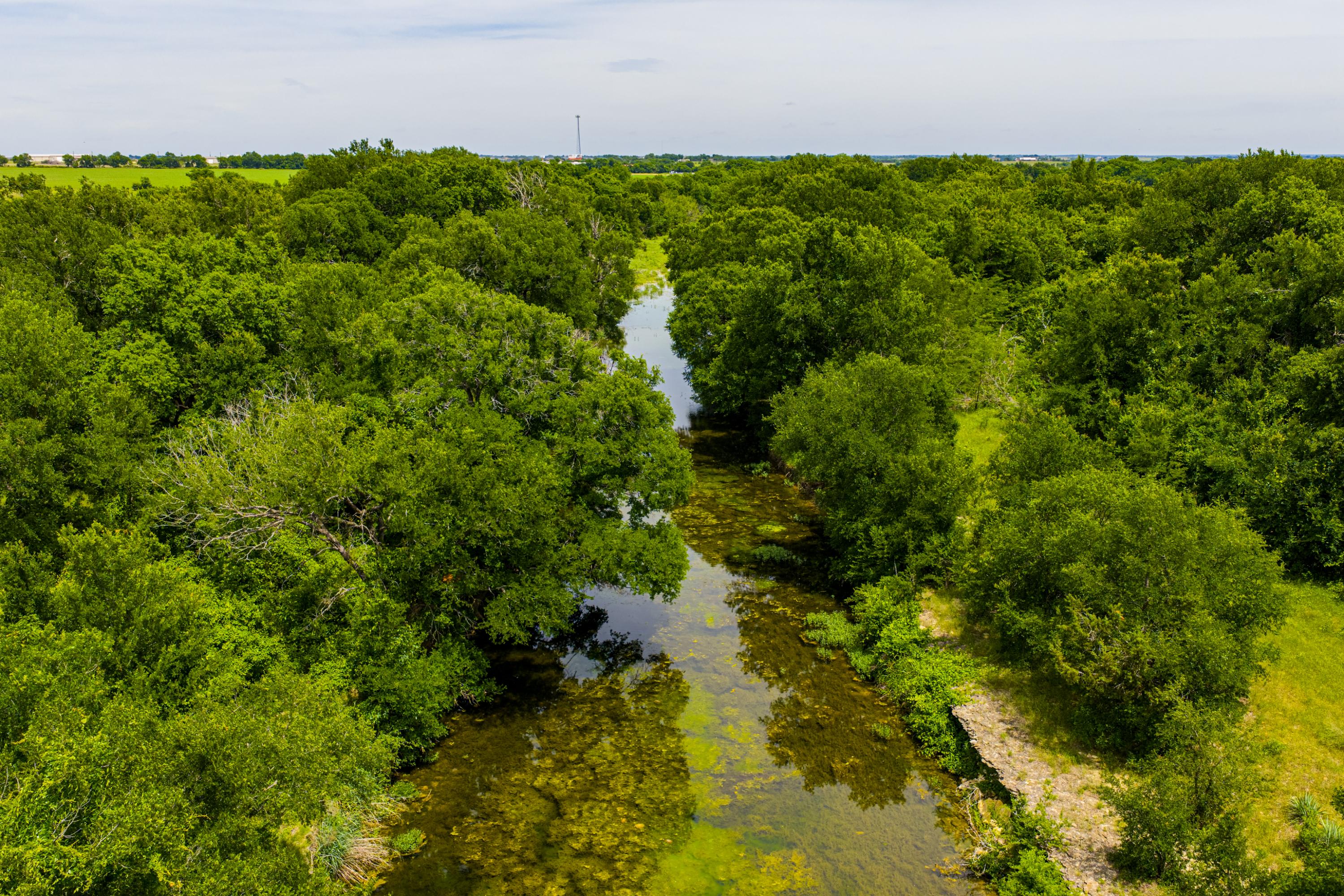  667 Acre Development Property With Two Miles Of Highway Frontage - 物件實景