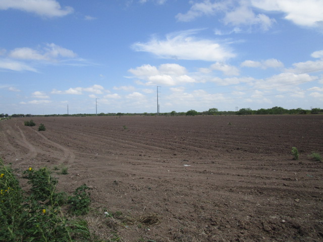 San Benito, Texas, 78586, United States, ,Residential,For Sale,1737428
